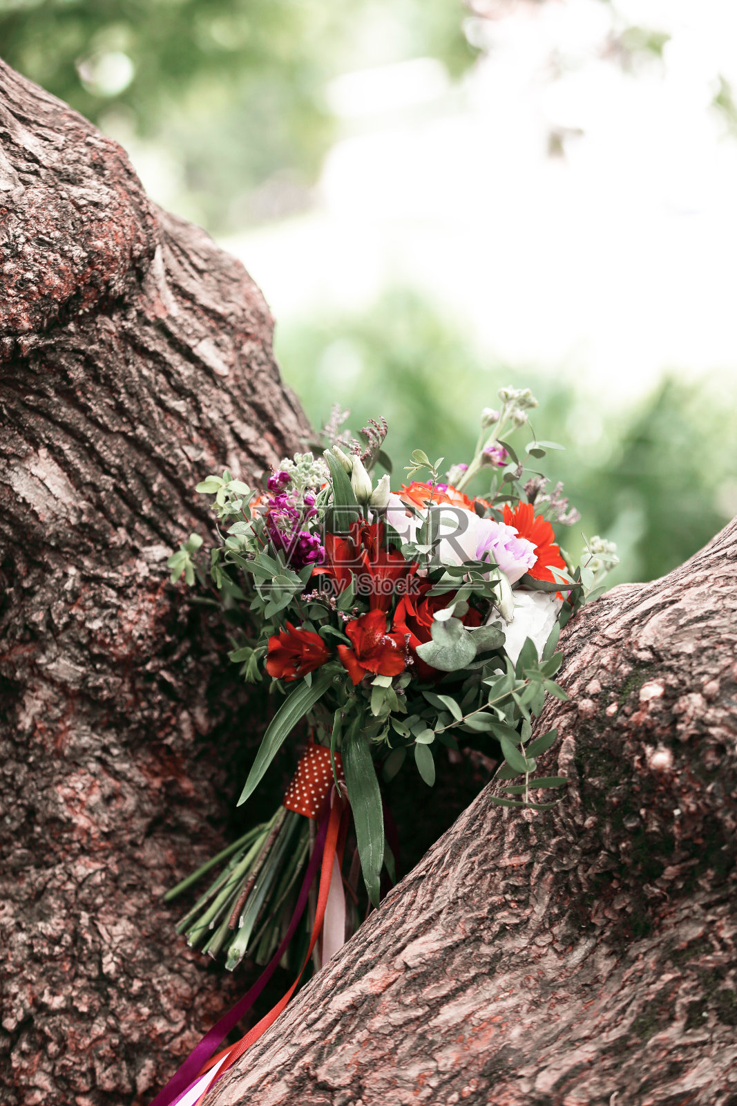 一棵大树树枝上的婚礼花束照片摄影图片