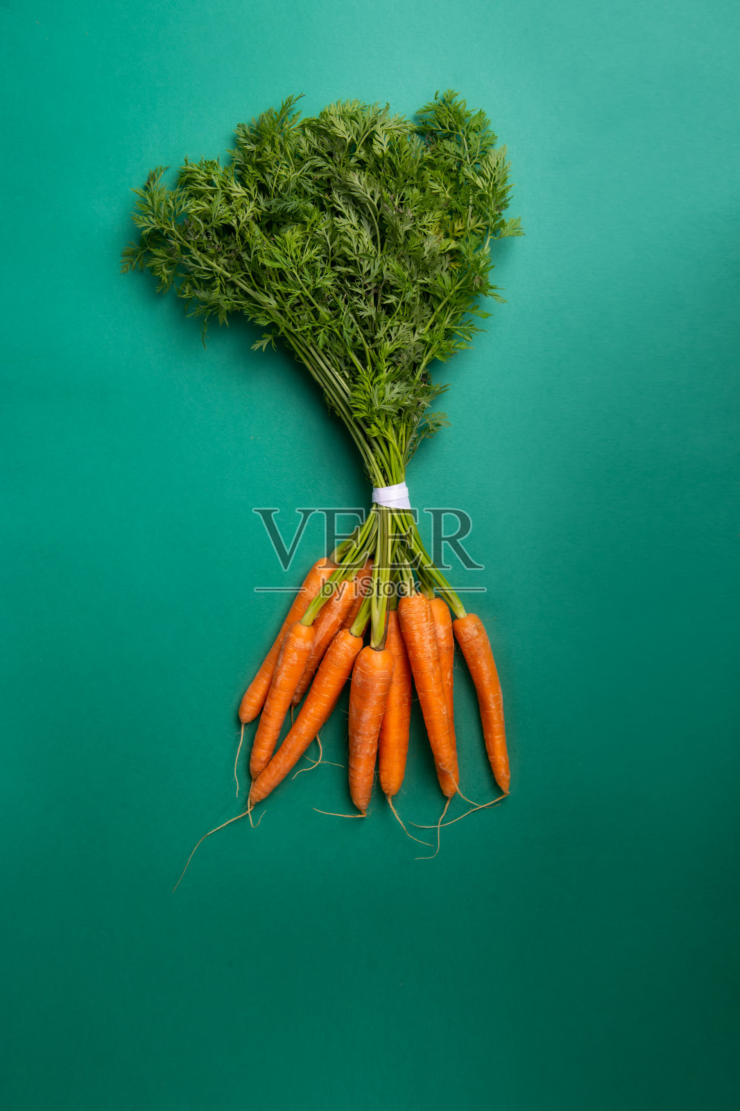 俯视图新鲜的生胡萝卜束与绿色的叶子在纸绿色的背景。素食和纯素饮食。纯素食主义。可持续的生活方式，植物性食物。副本的空间。照片摄影图片