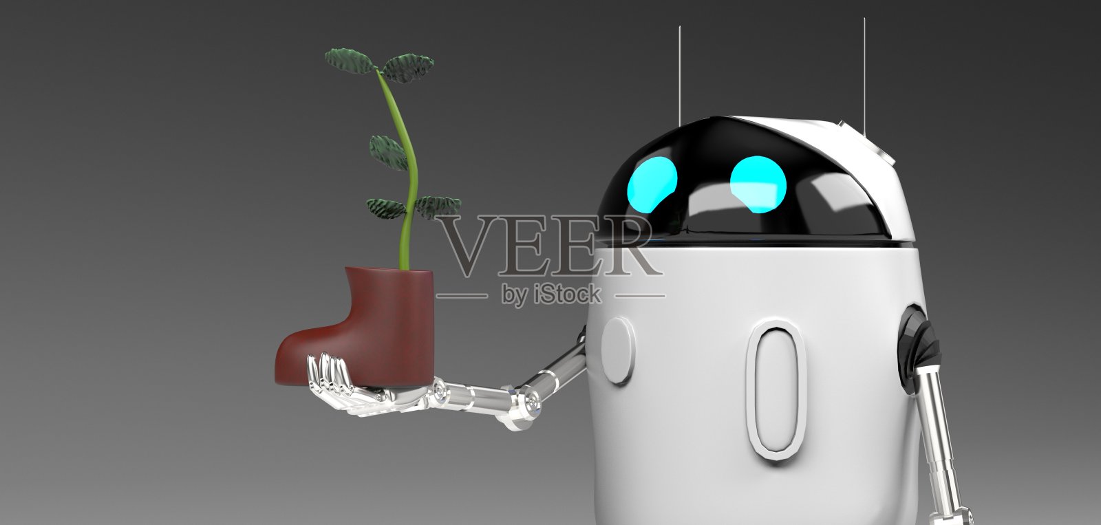 机器人与植物在鞋，孤立在灰色背景，3d渲染。照片摄影图片