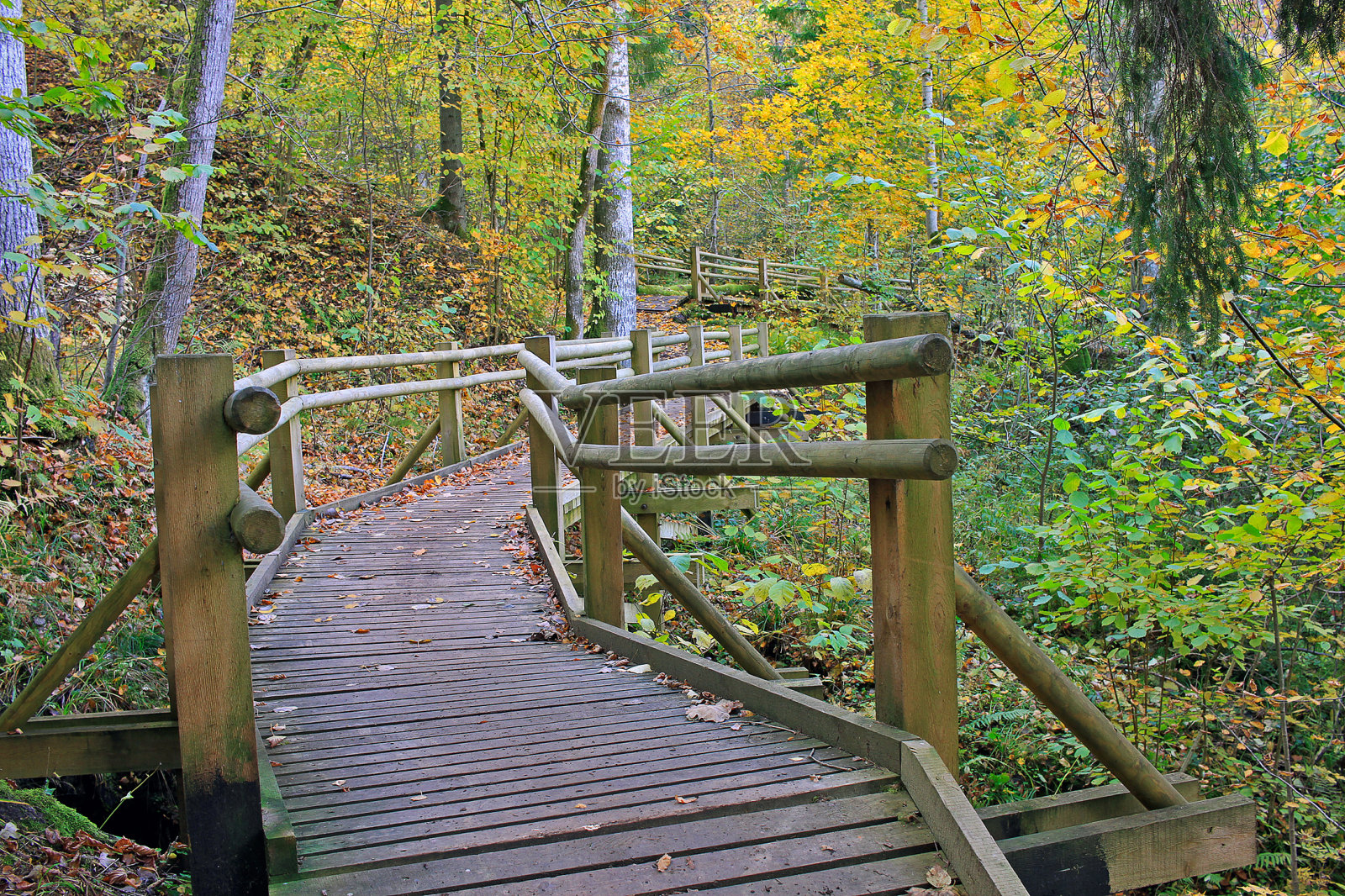 拉脱维亚锡古尔达的秋天照片摄影图片