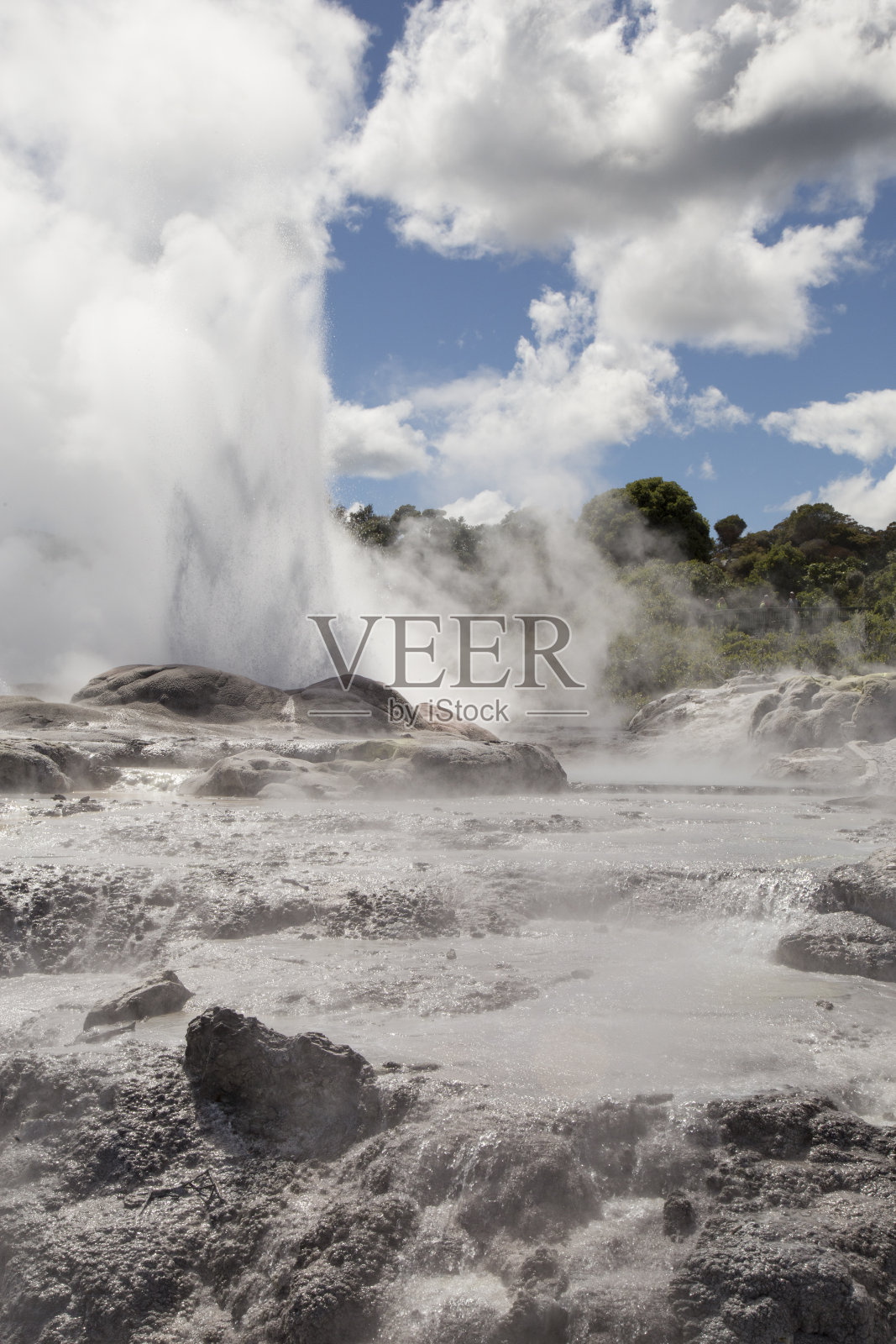 蒂普亚地热公园的喷发间歇泉和沸水照片摄影图片