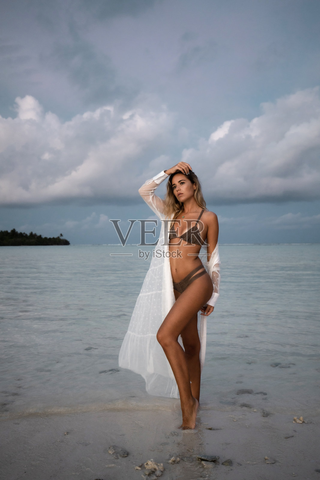 性感的女人在晚上的海滩上摆姿势。照片摄影图片