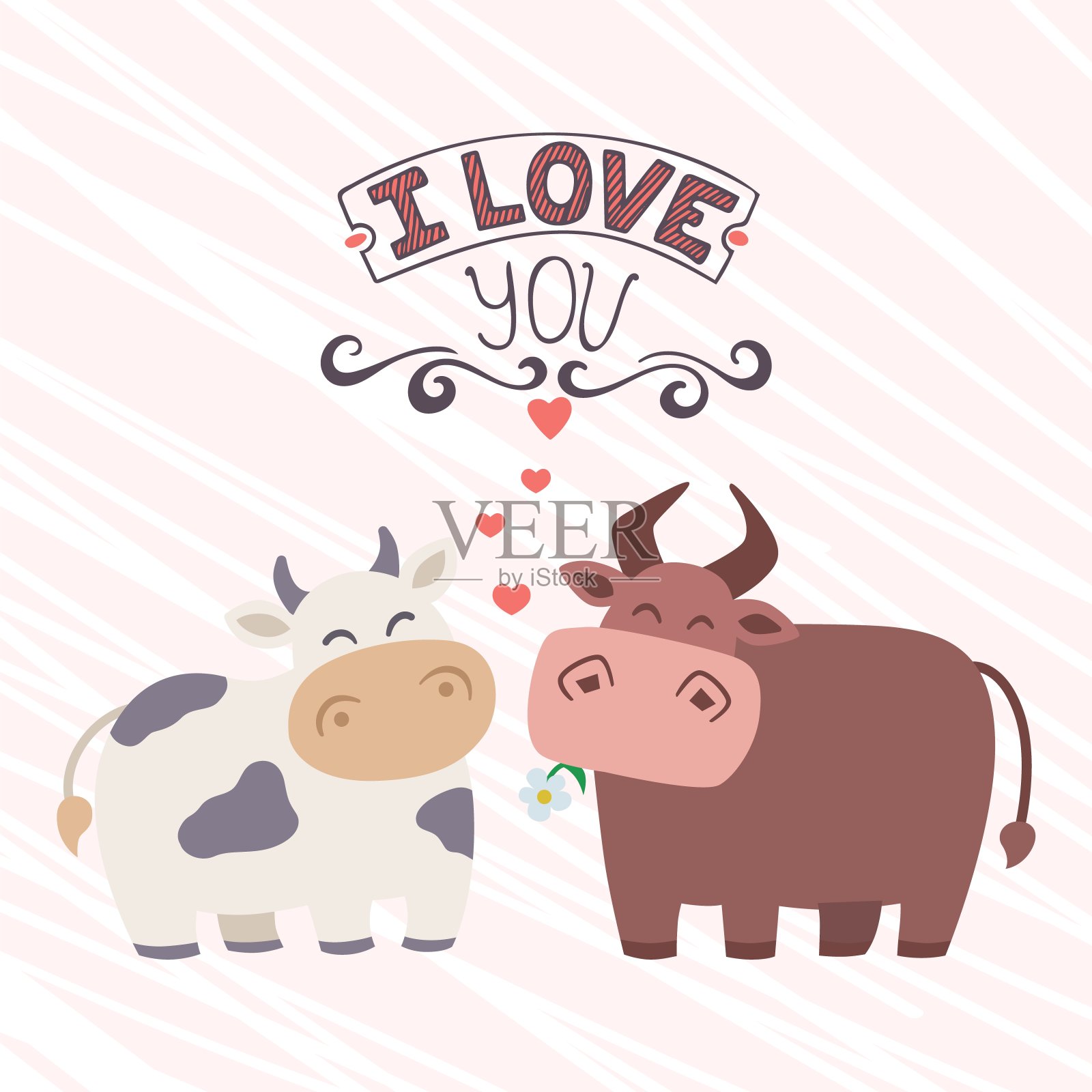 搞笑卡通动物牛和牛矢量插画。瓦伦汀设计元素图片