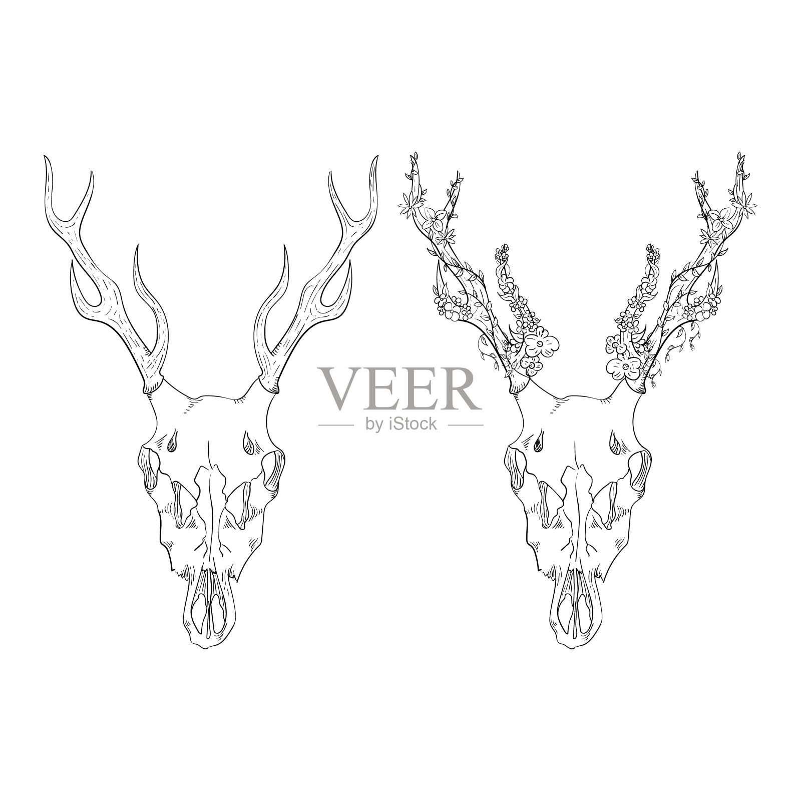 带花的鹿头骨。矢量元素纹身草图，打印在t恤上。插画图片素材