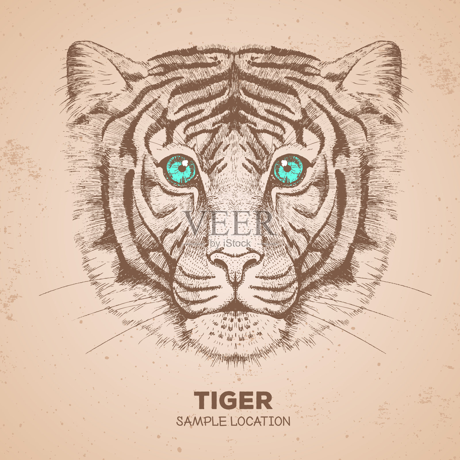 潮人动物老虎。手画老虎的口插画图片素材