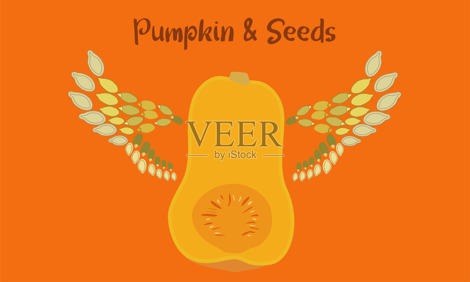 南瓜和种子插画图片素材