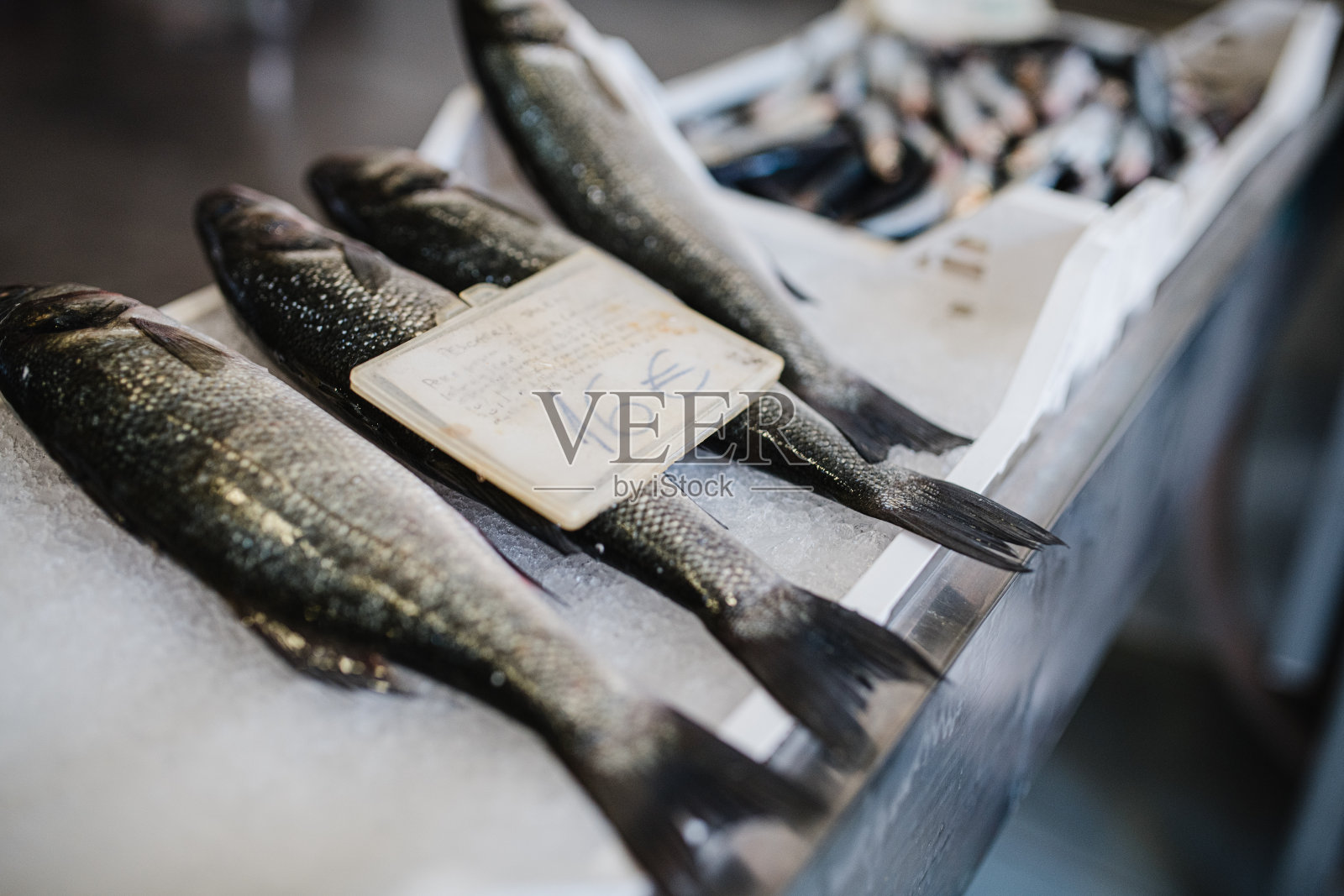 意大利当地鱼市上的标价鱼照片摄影图片