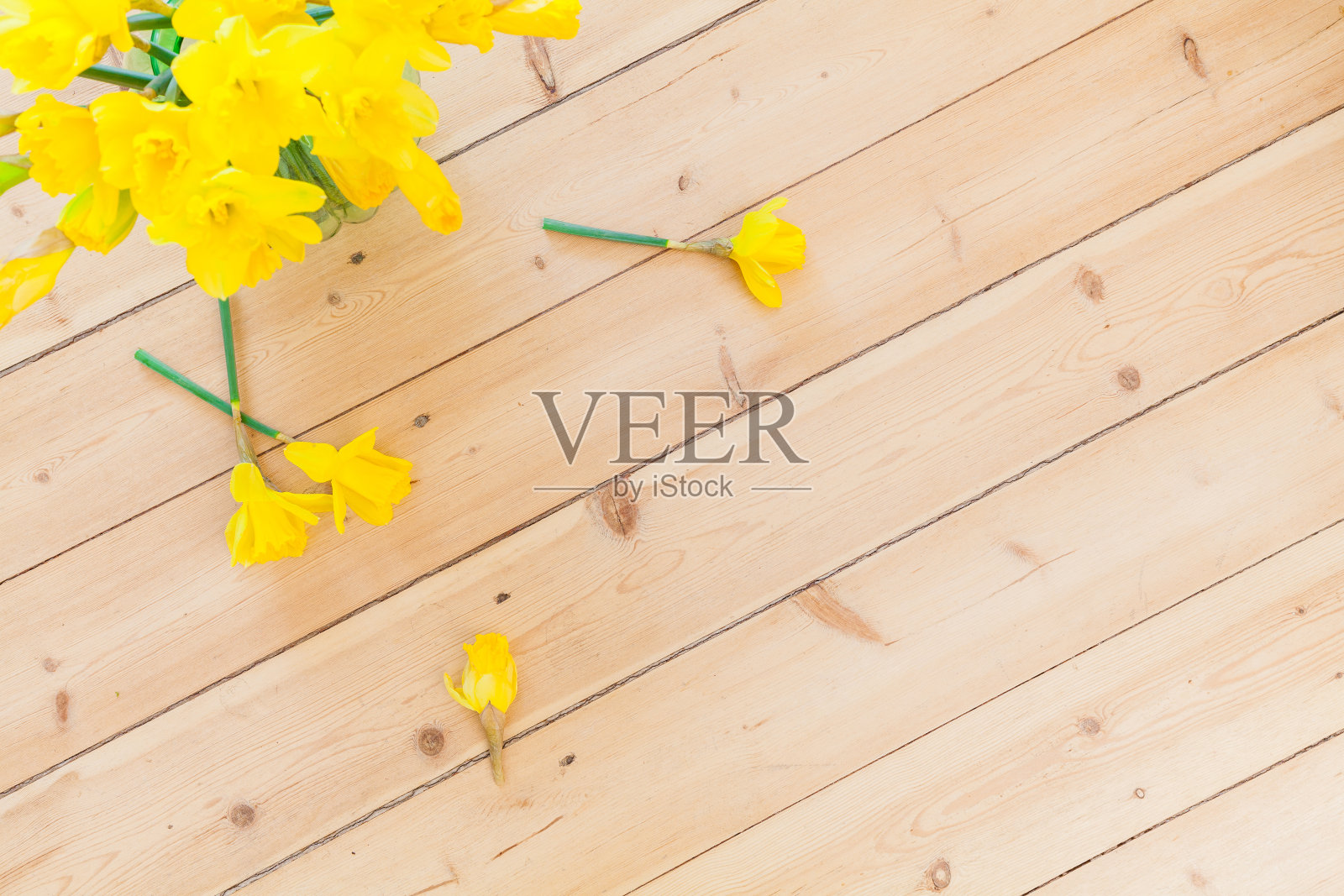 春天的背景装饰用复活节的钟声，水仙花在老建筑的木地板上。春季装饰或复活节装饰。自然设计，自然可持续的设计照片摄影图片