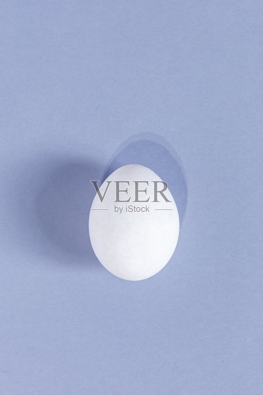 一个白色的鸡蛋照片摄影图片