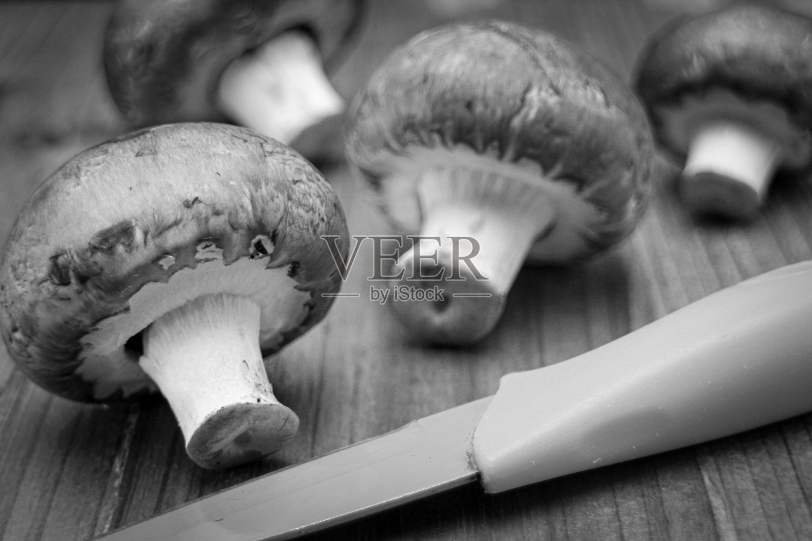 新鲜的蘑菇照片摄影图片