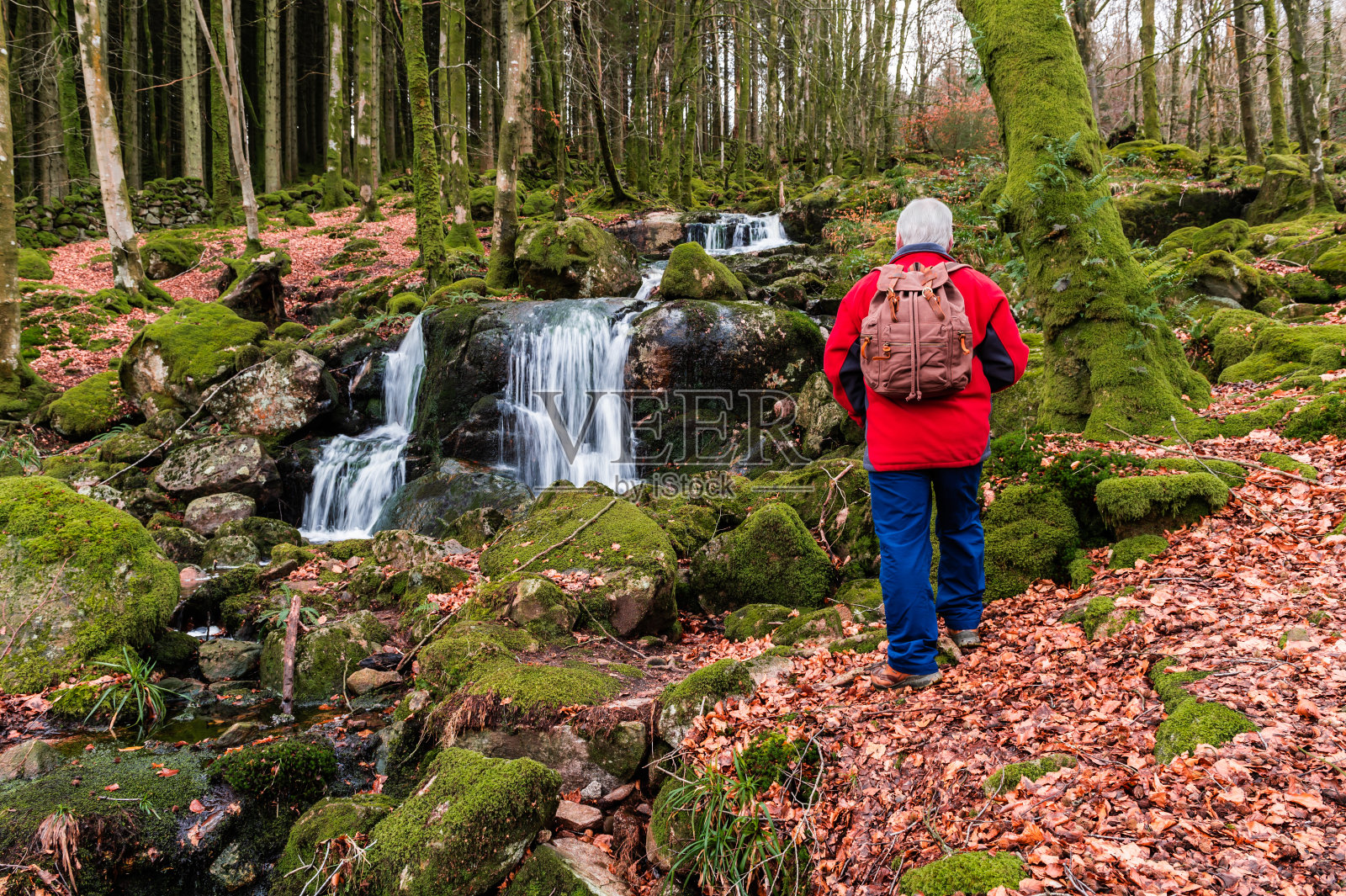 一个活跃的老年人在一个冬天的早晨在落叶林地的瀑布旁边照片摄影图片
