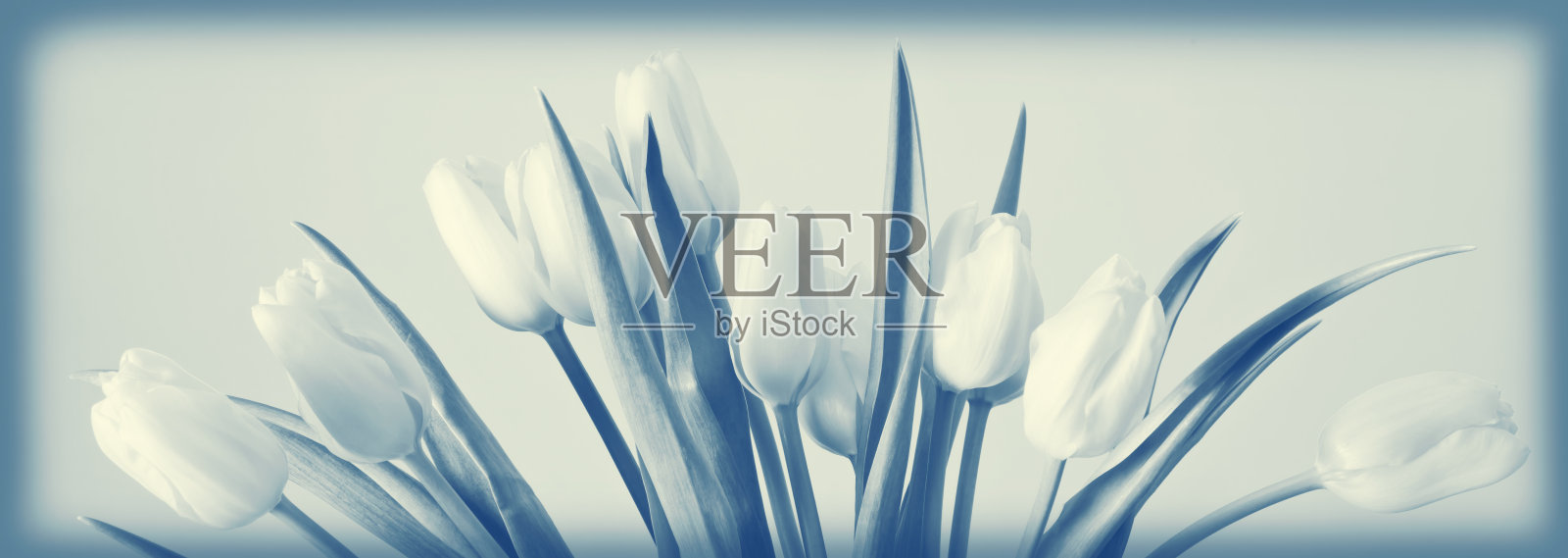 带有小装饰的郁金香照片摄影图片