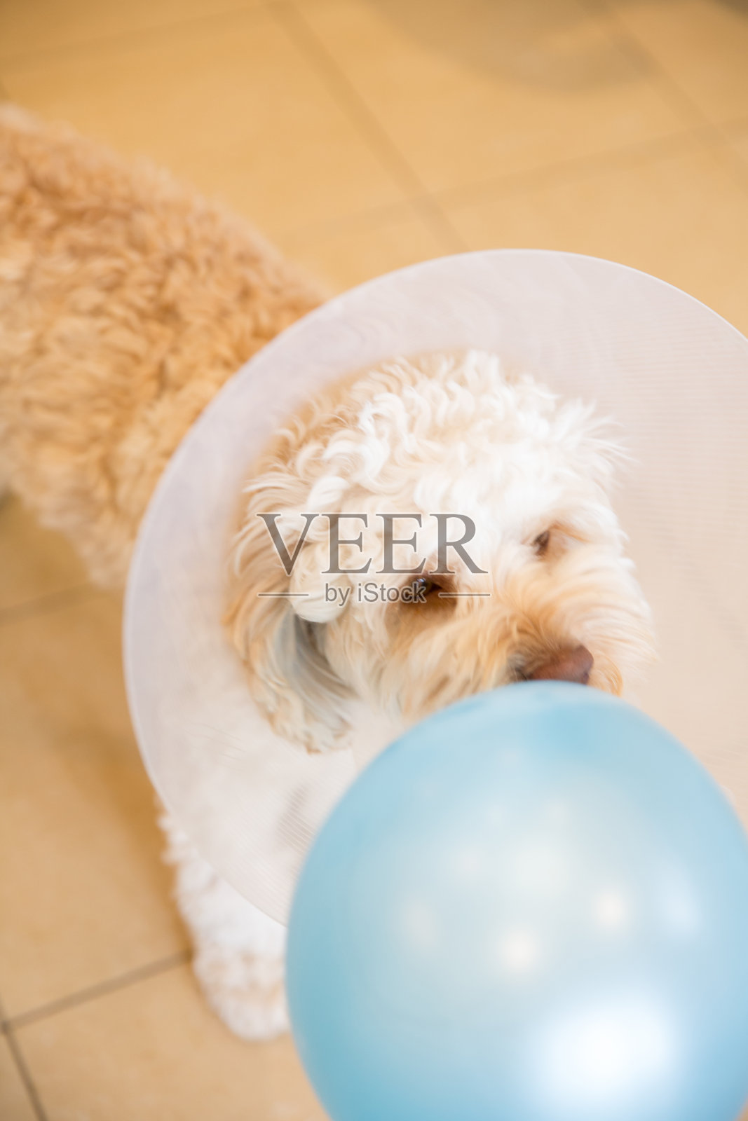 手术后照片摄影图片