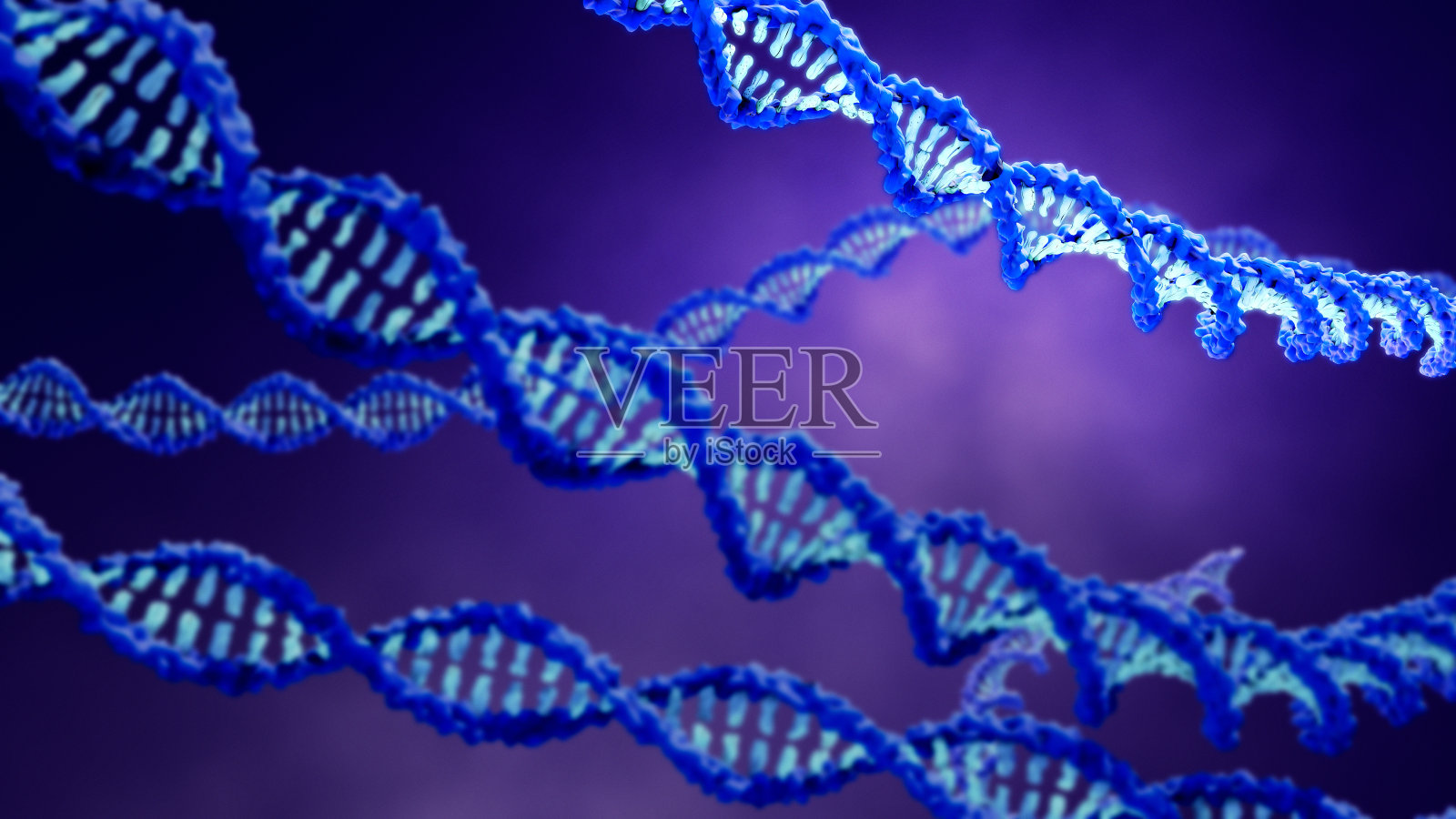 包含生物遗传密码的DNA分子照片摄影图片