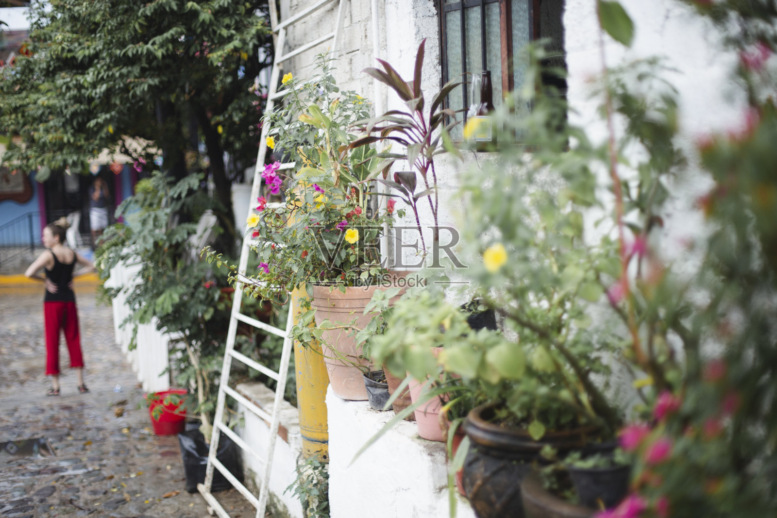 Sayulita, Nayarit，墨西哥照片摄影图片