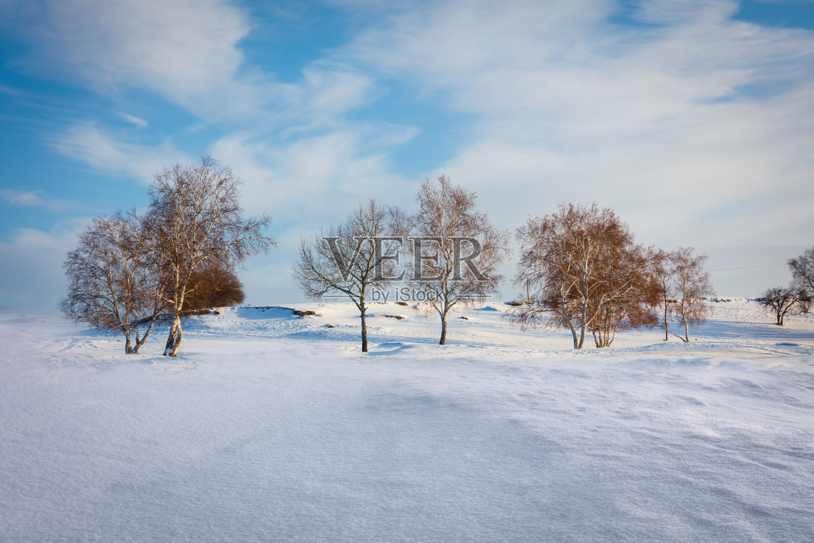 森林的雪照片摄影图片