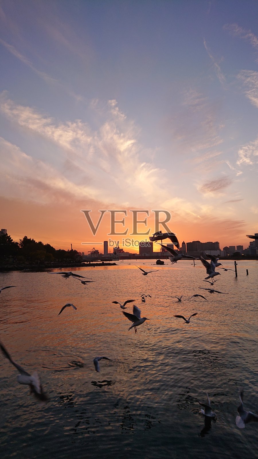 日落照片摄影图片