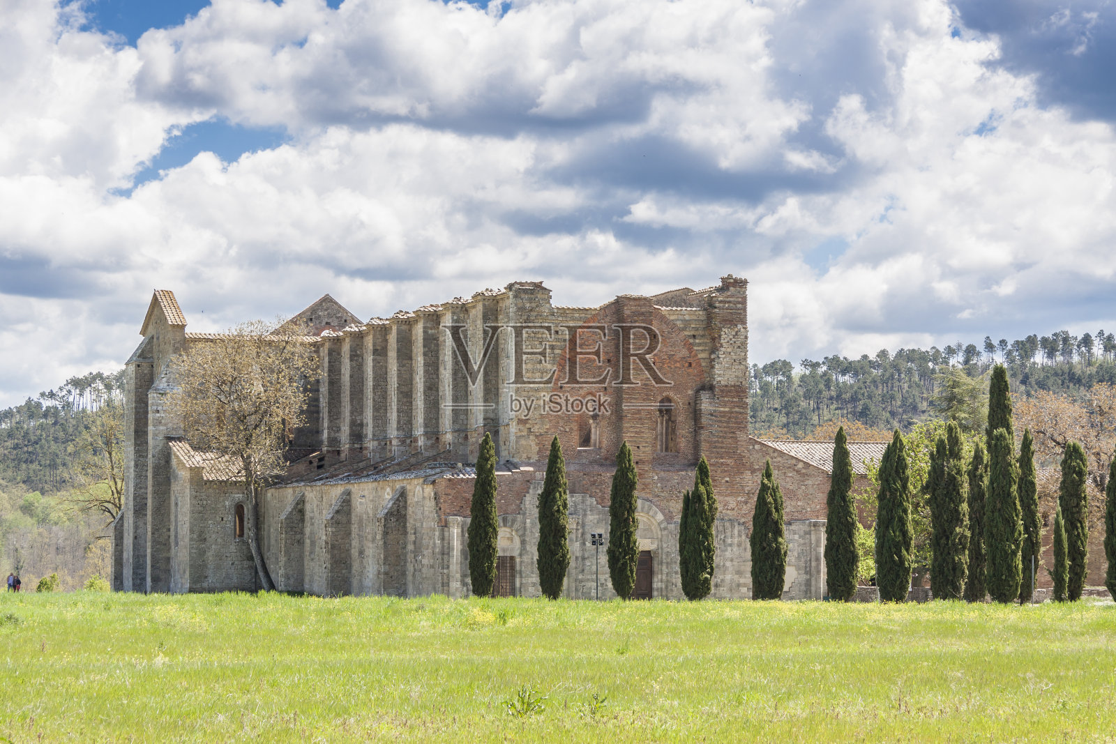 圣加尔加诺修道院废墟-托斯卡纳，意大利。照片摄影图片