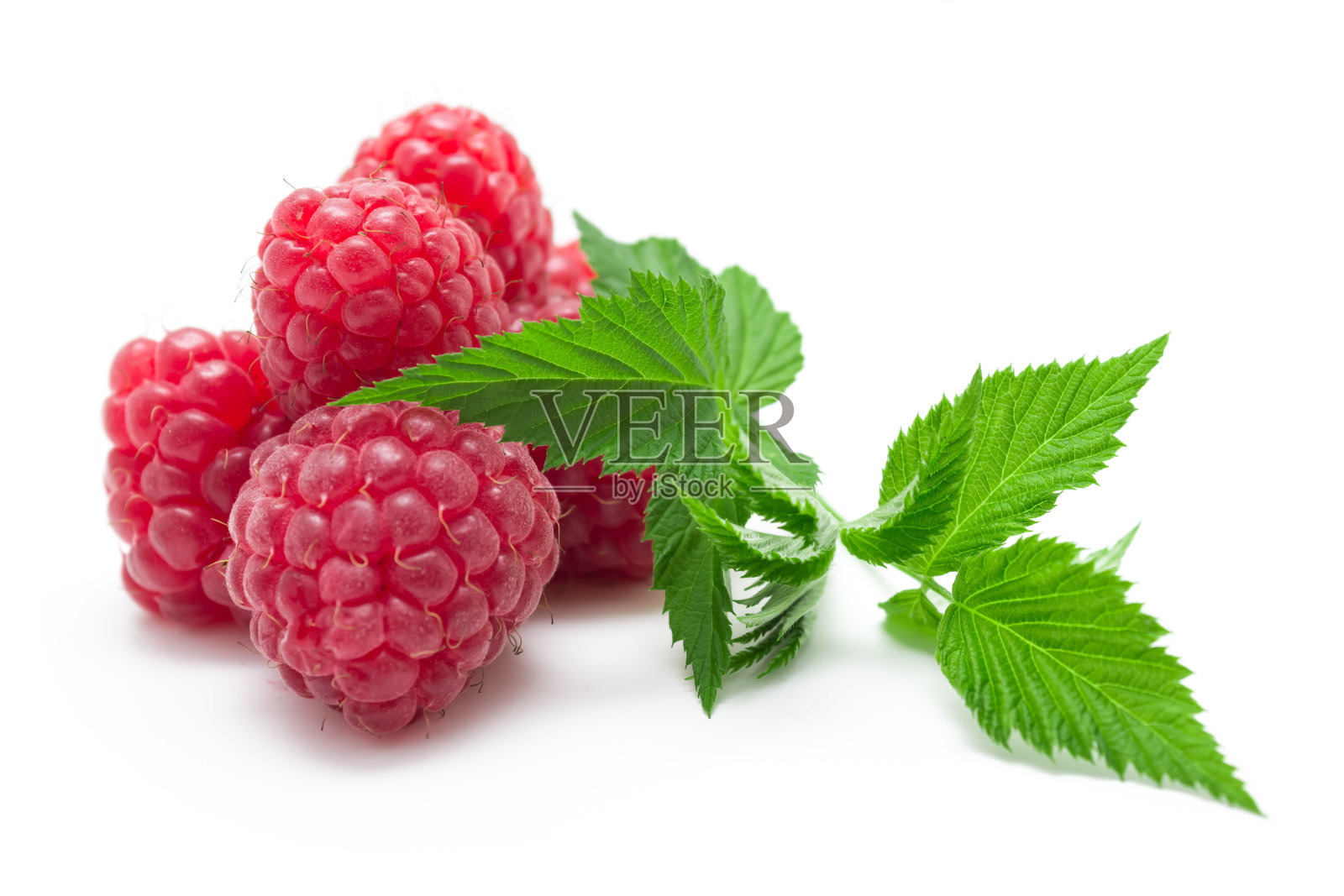 带有绿叶的覆盆子浆果。健康的新鲜水果，白色的背景。照片摄影图片