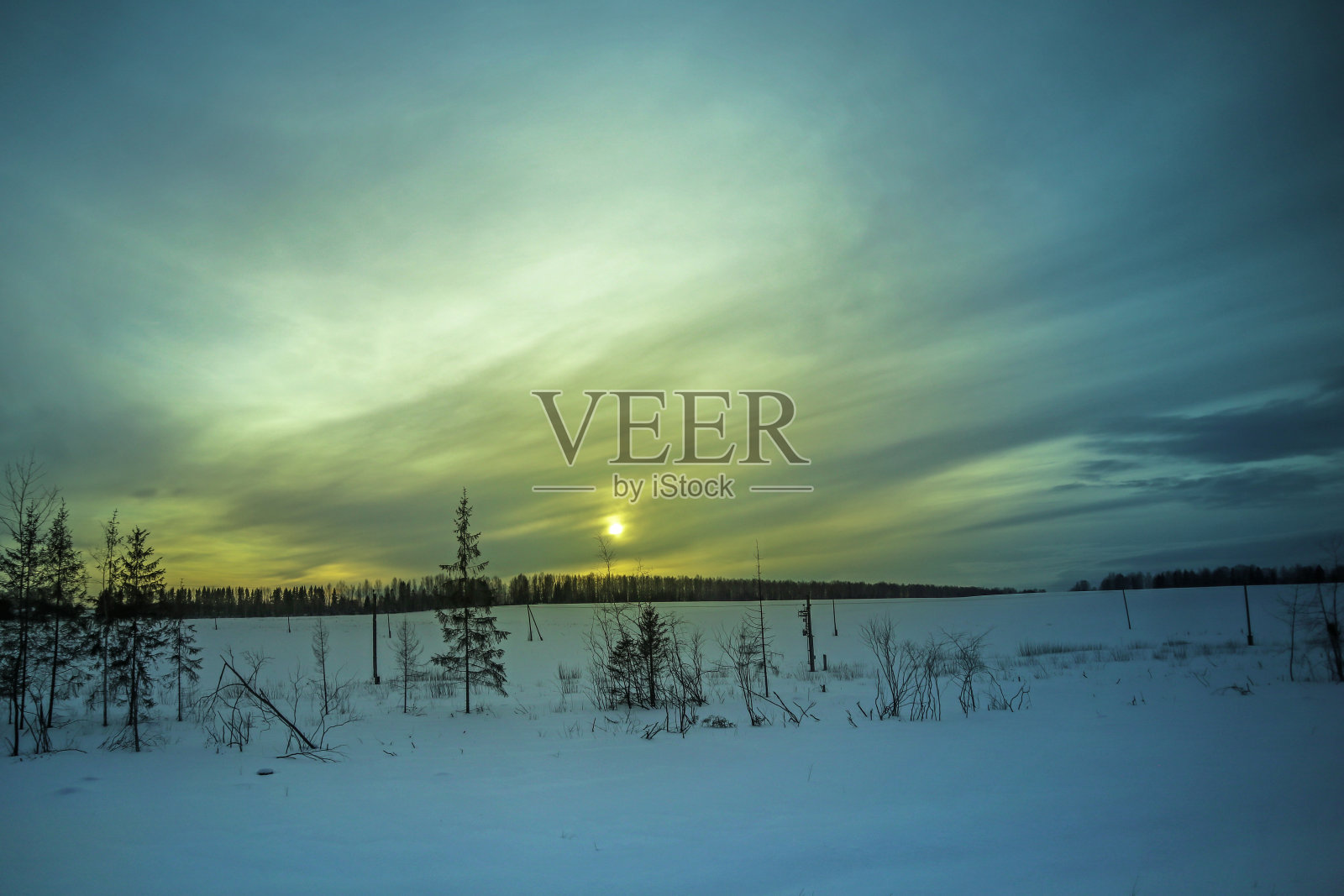 冬季傍晚日落时的森林景观。照片摄影图片