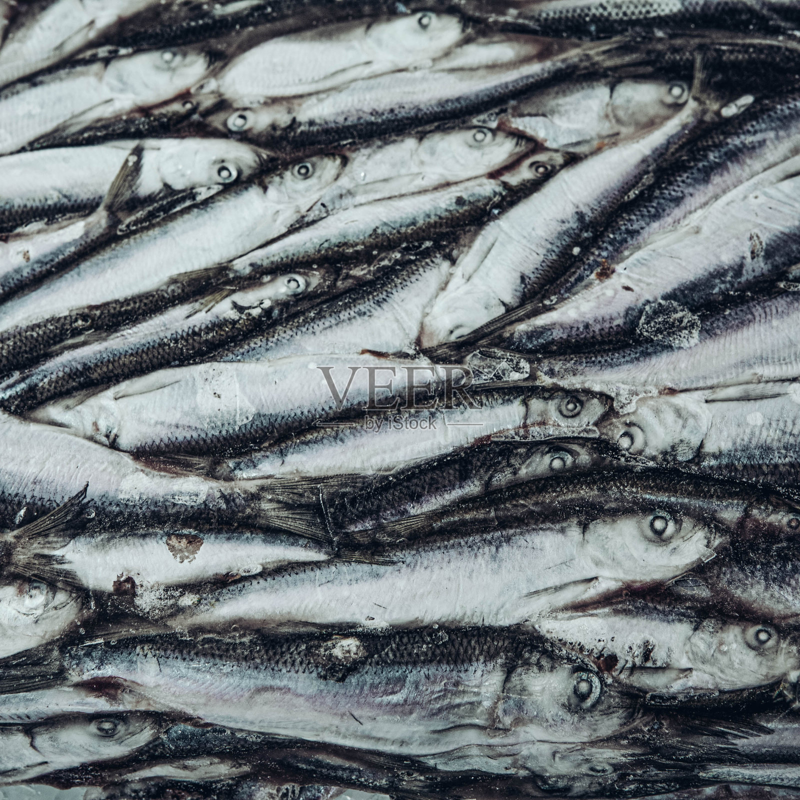 鱼市场的冷冻小菜特写。冬季钓鱼。小银鱼。照片摄影图片