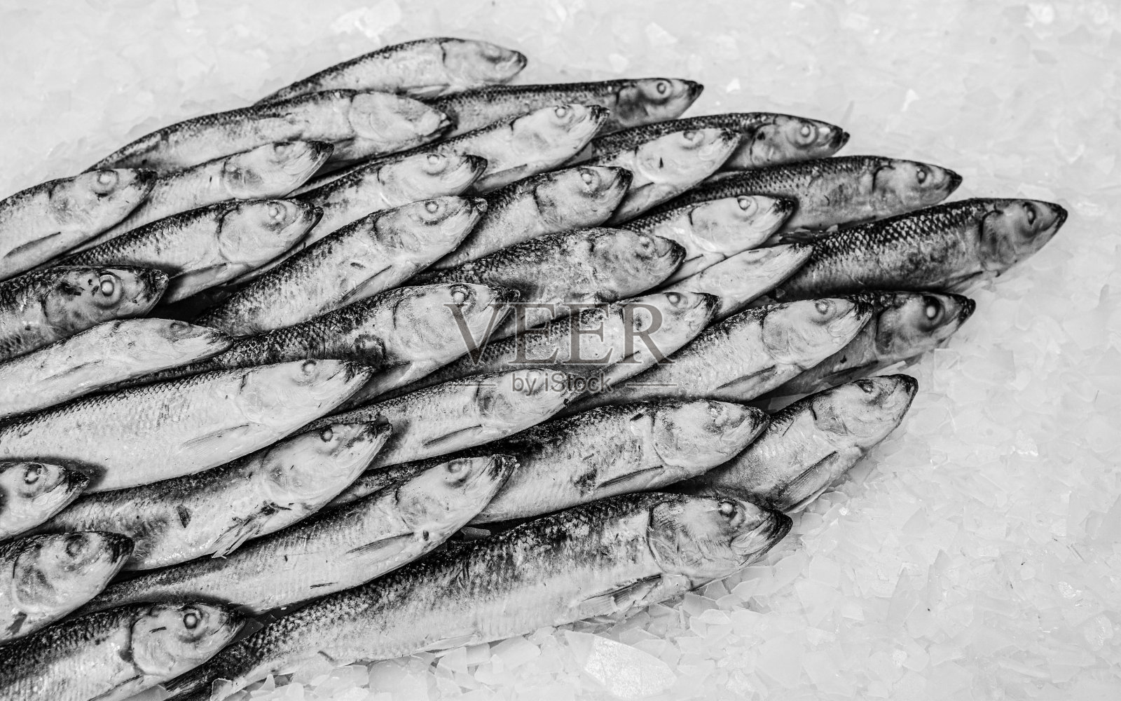 鲜鱼市场冰上的鲜虾特写。冬季钓鱼。小银鱼。照片摄影图片