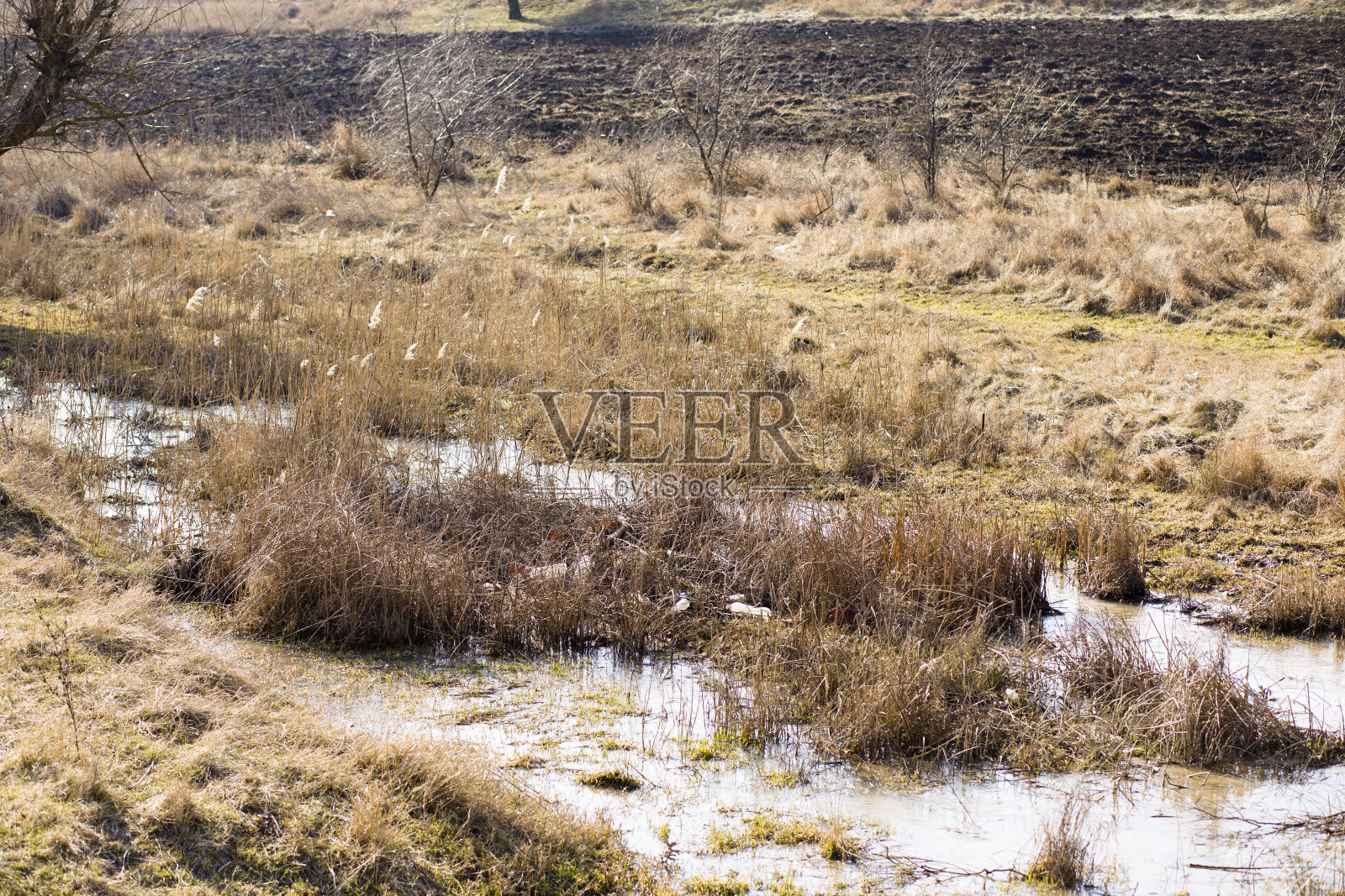 一条满是各种垃圾的小河。环境污染问题照片摄影图片
