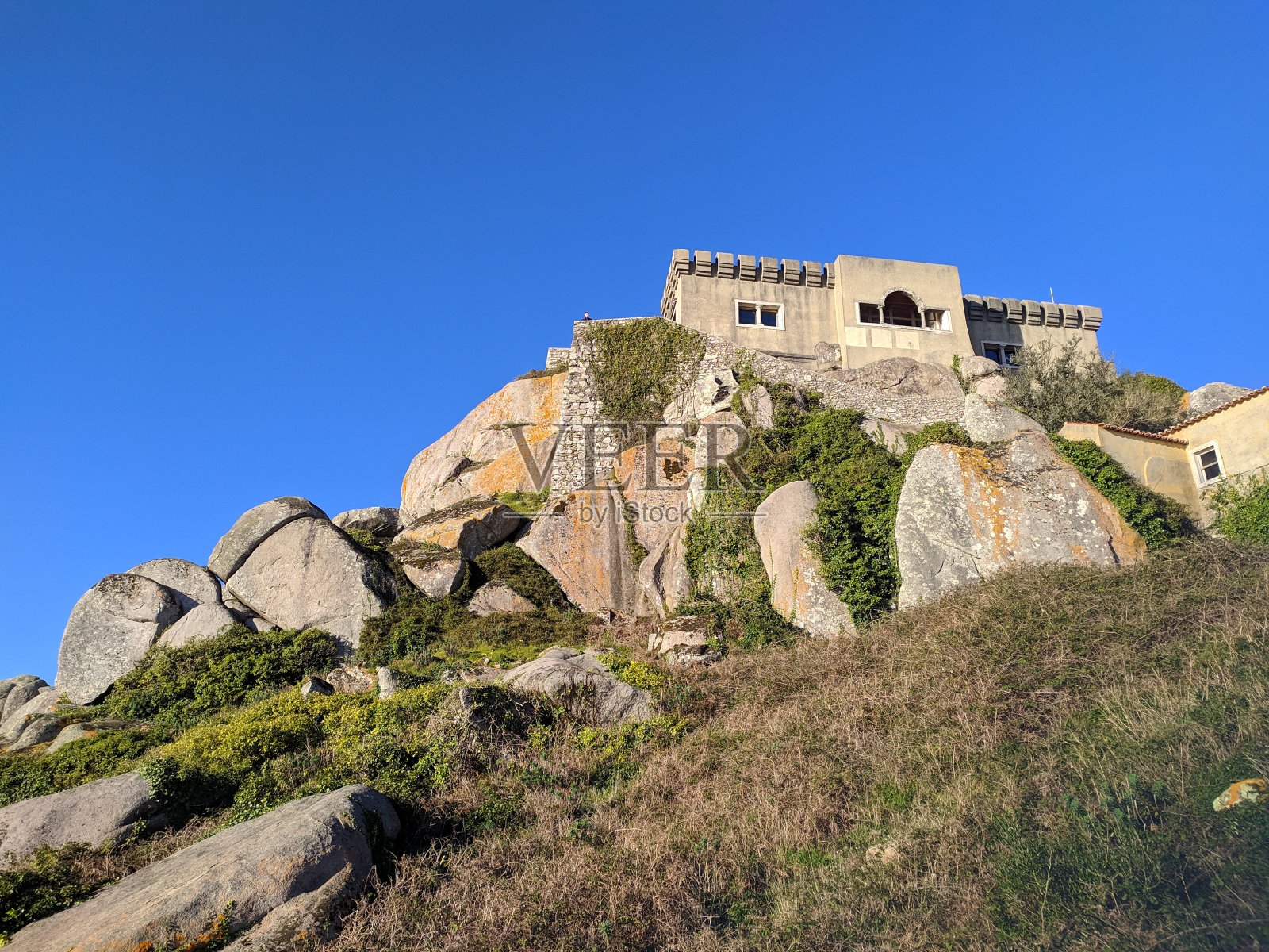 小可怜照片摄影图片