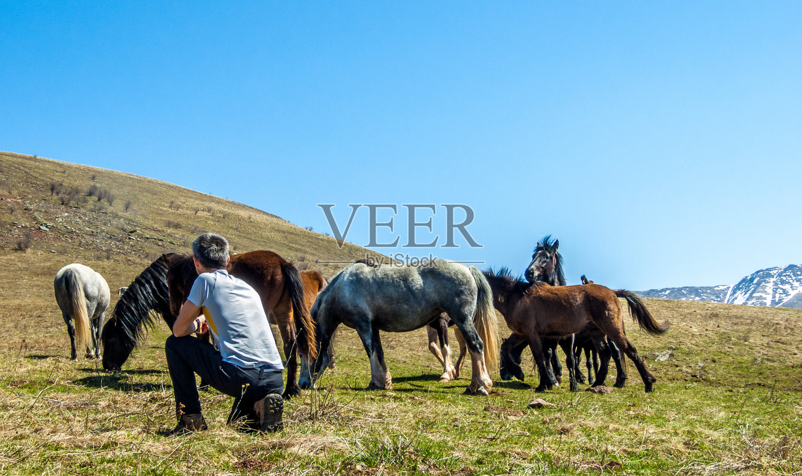 尝试与马相处照片摄影图片