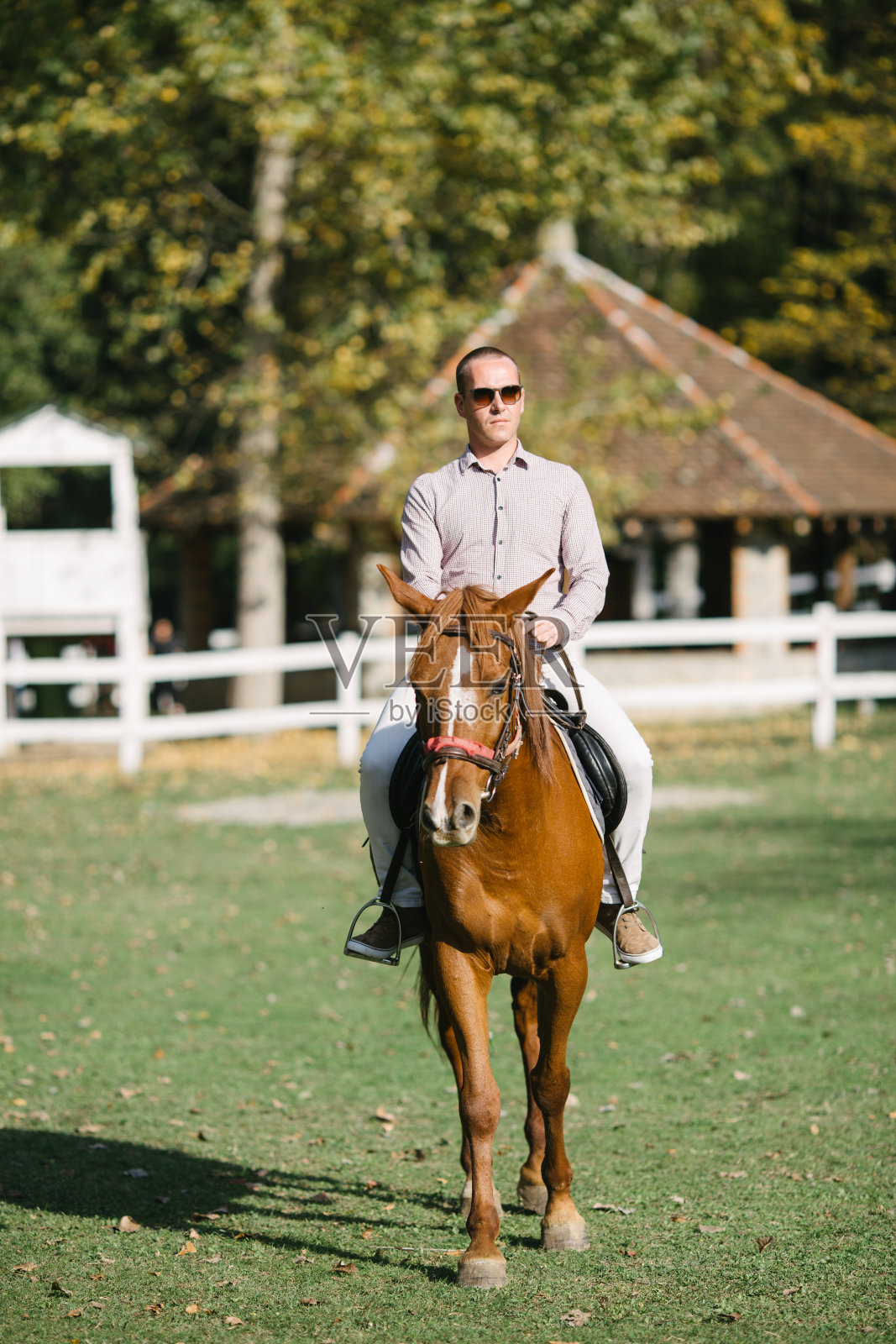 人与马照片摄影图片