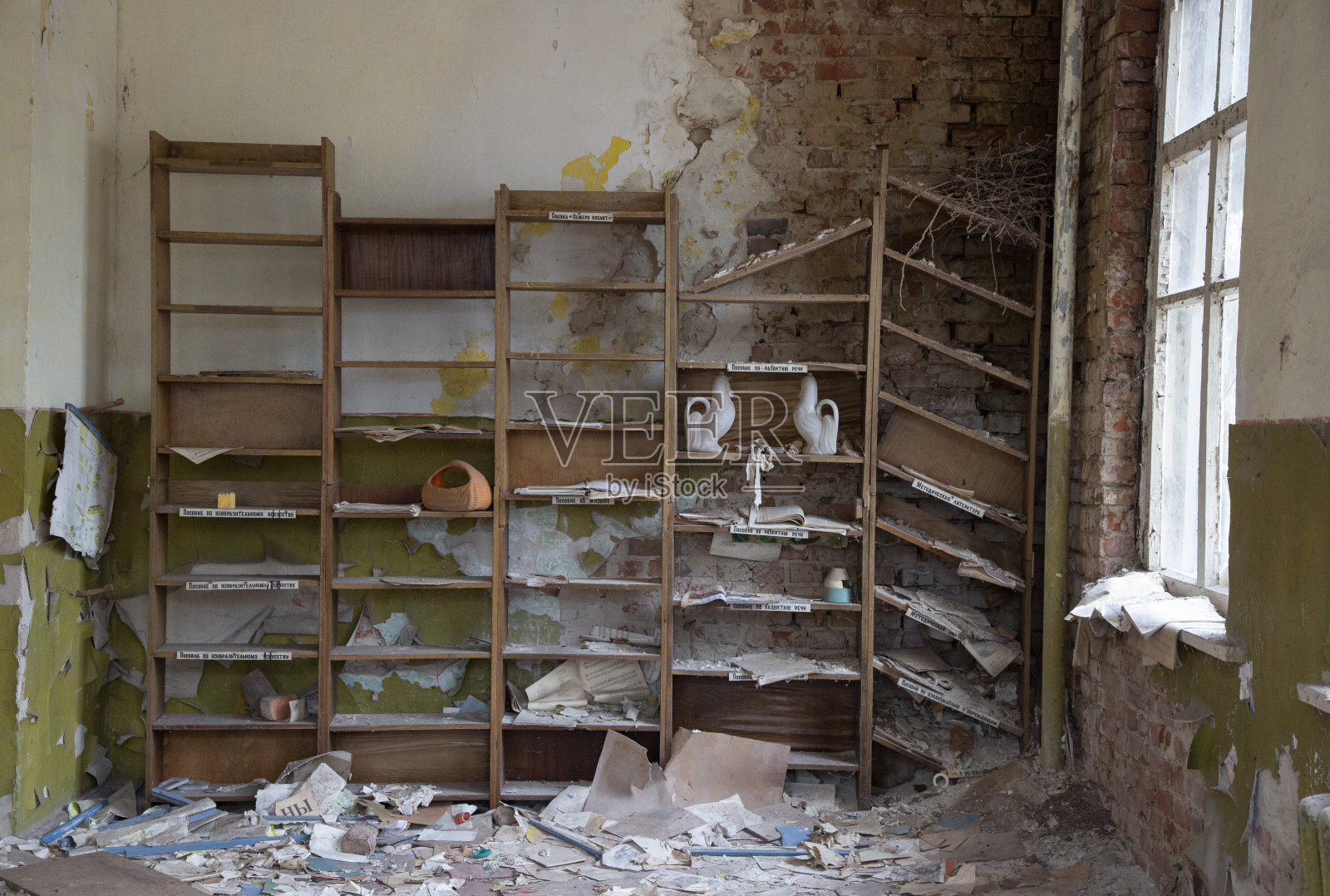 乌克兰废弃的切尔诺贝利核反应堆发电厂的一个苗圃照片摄影图片