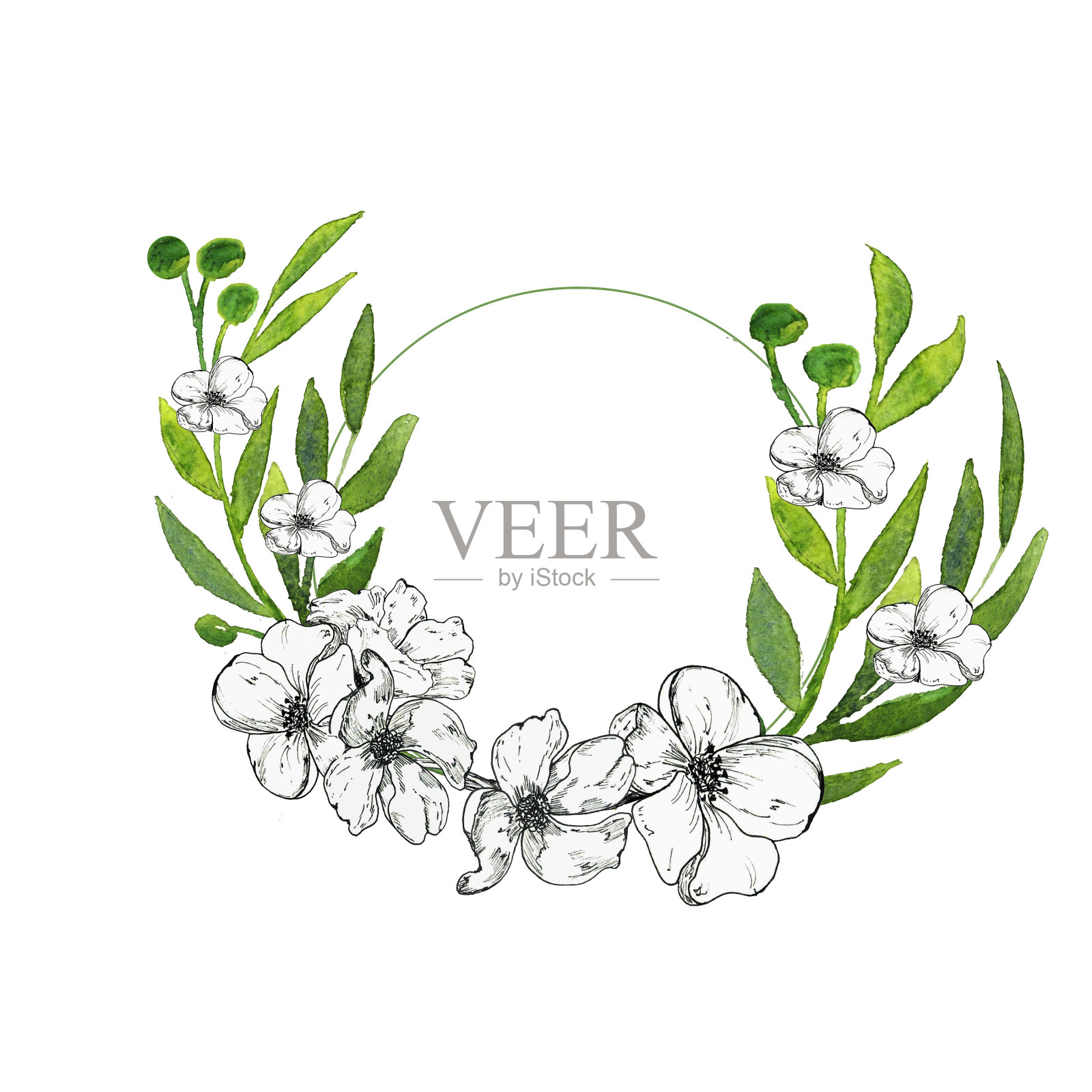 祝贺、邀请、标志的明信片。图案上是黑白花，背景是叶子。插画图片素材