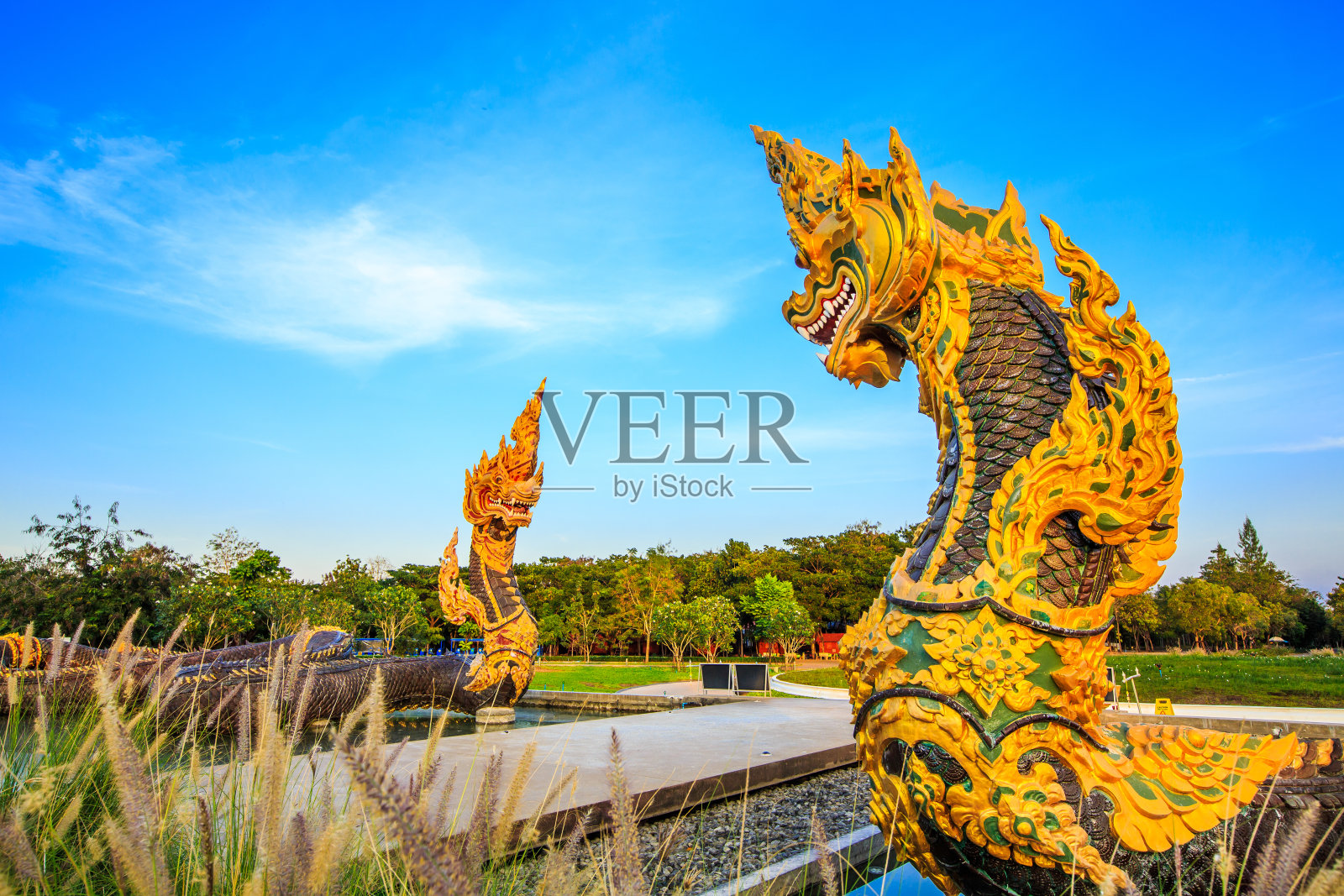 泰国达玛扬寺蛇王雕像照片摄影图片