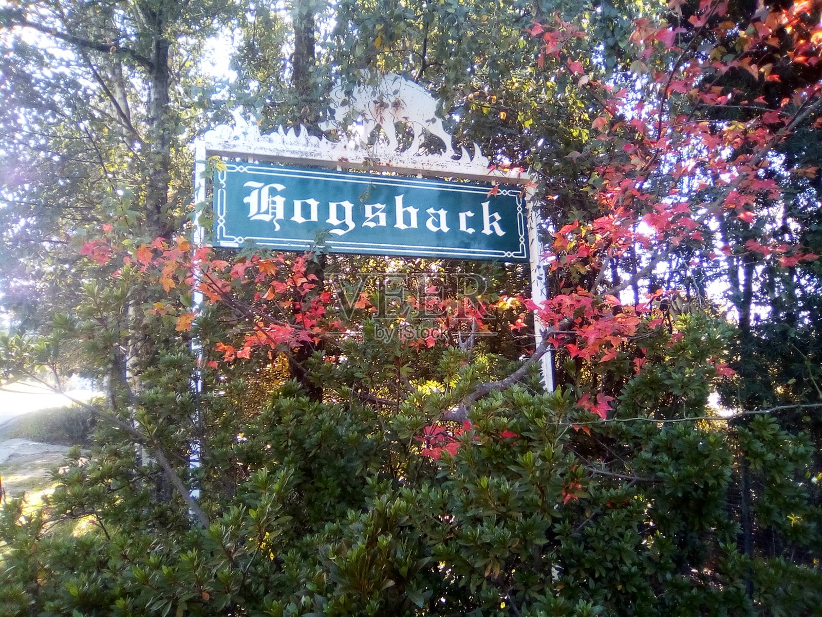 Hogsback标志照片摄影图片