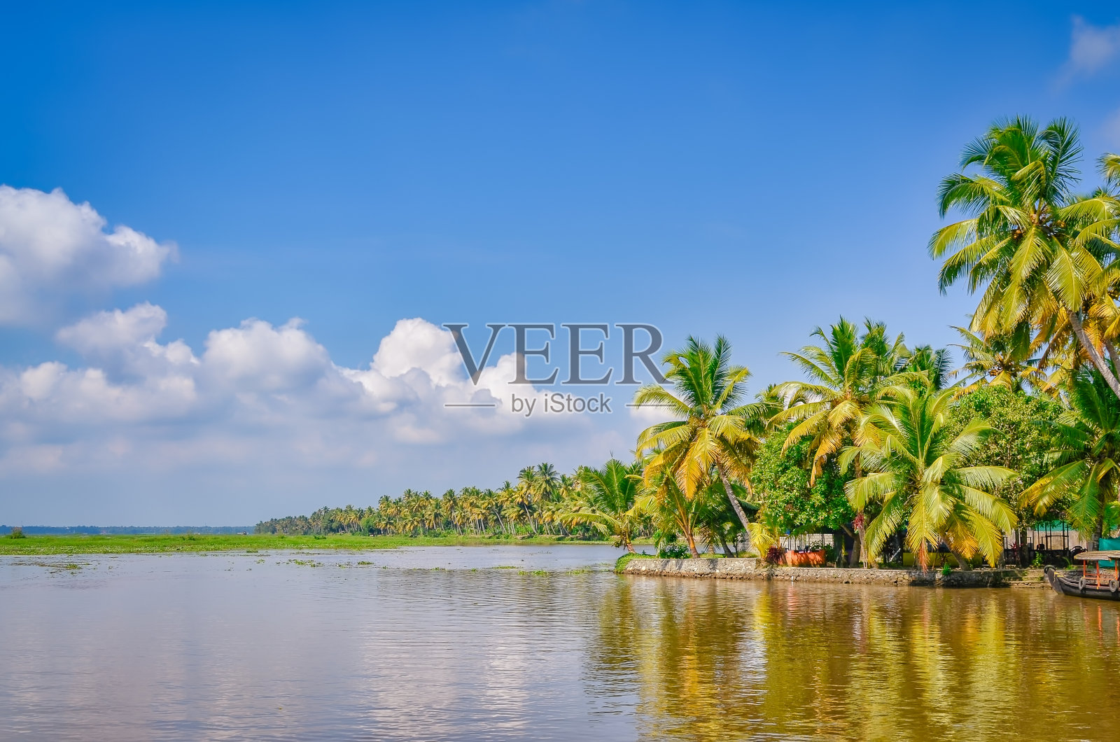 印度喀拉拉邦的死水