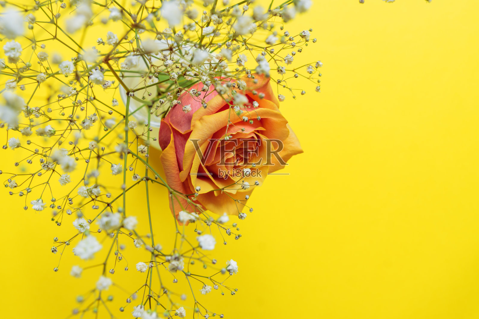 花组成。粉红色的玫瑰，黄色的背景上有白色的天竺葵。生日或妇女节贺卡的副本照片摄影图片