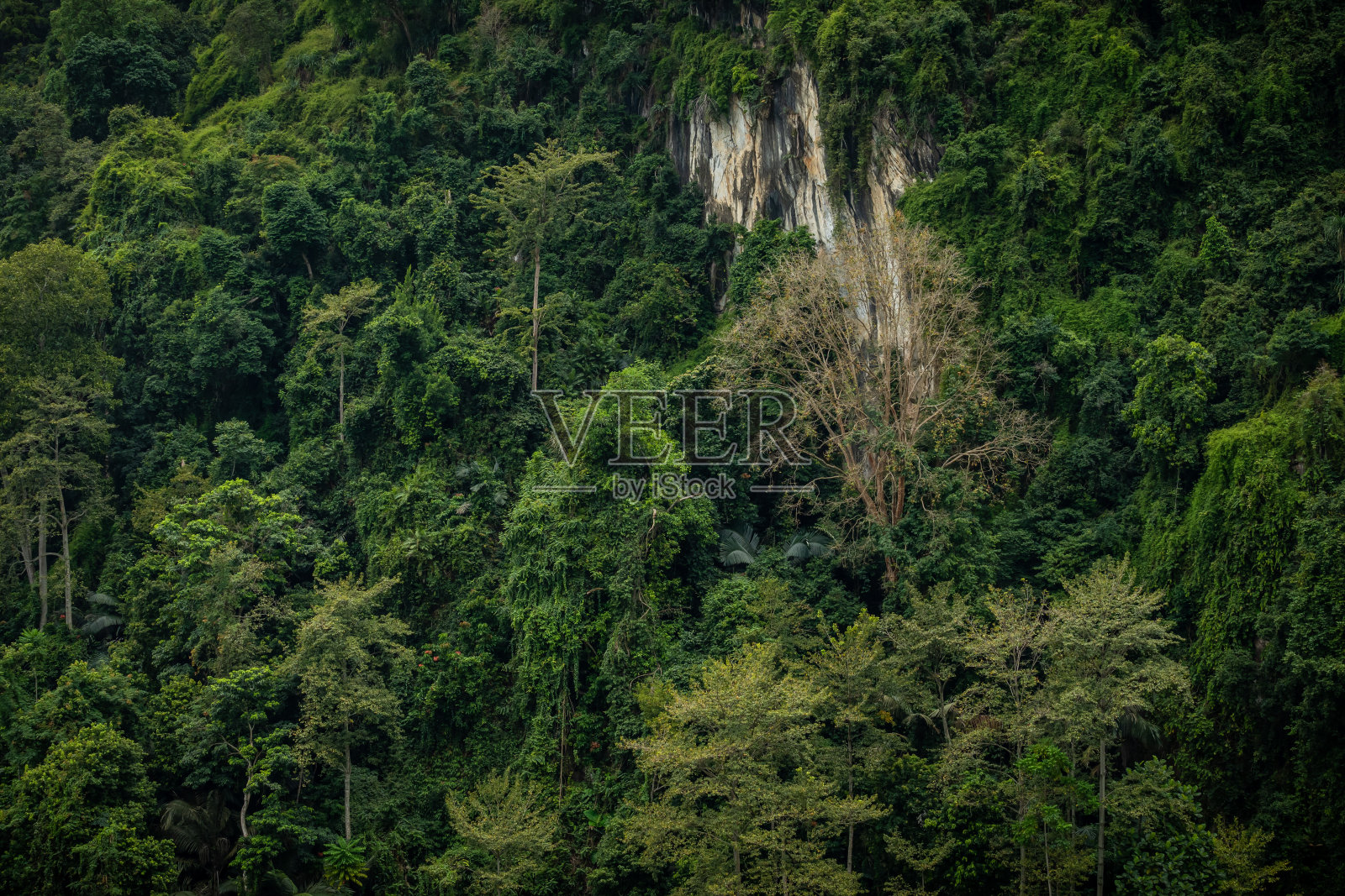 霹雳州打扪的山景和湖景照片摄影图片