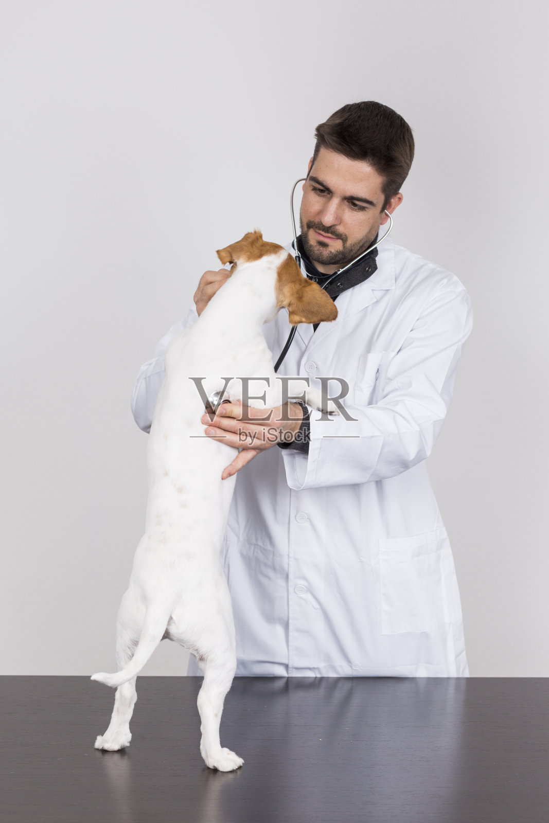 年轻兽医用听诊器检查小狗照片摄影图片