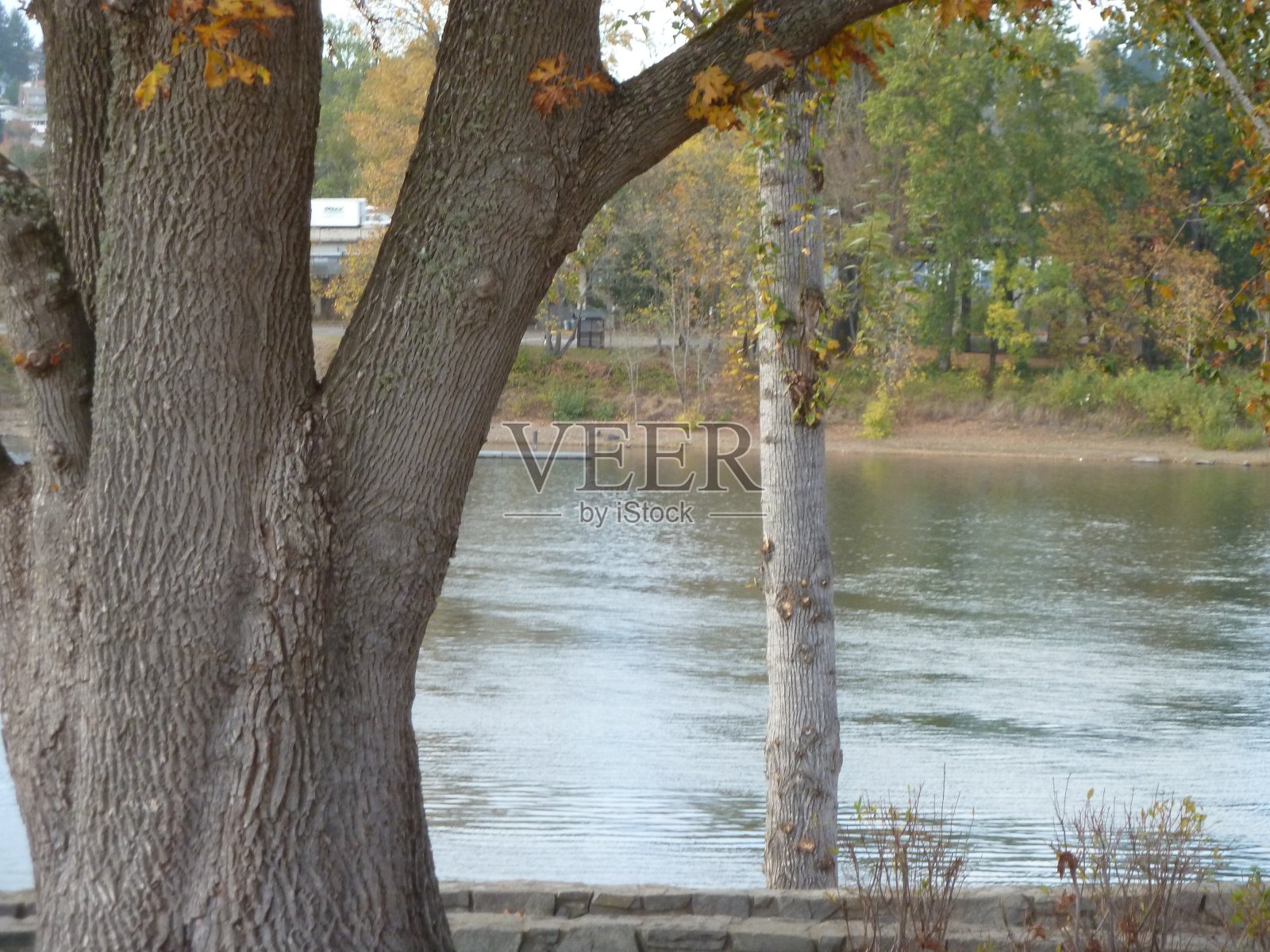 河反射照片摄影图片