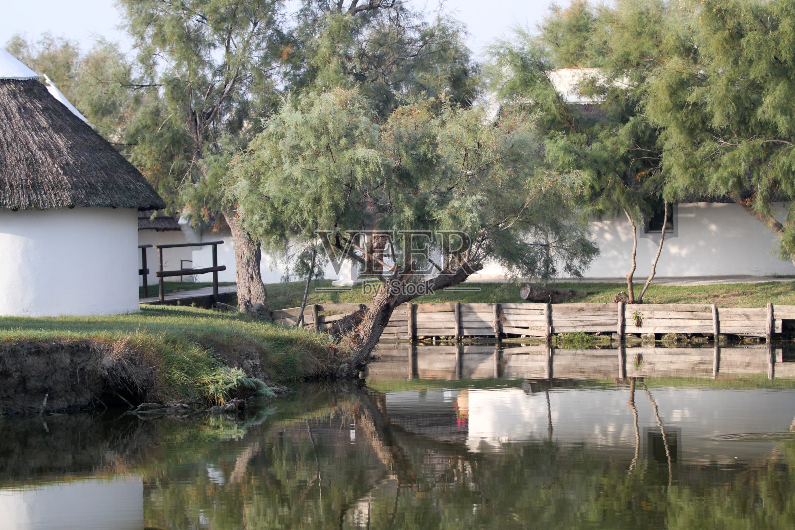 法国卡玛格一直照片摄影图片