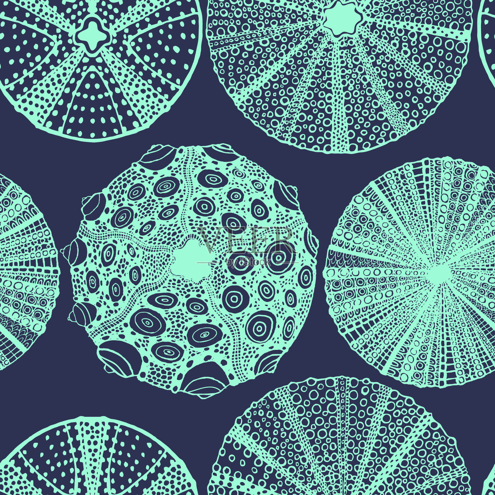 暗海胆图案手绘风格插画图片素材