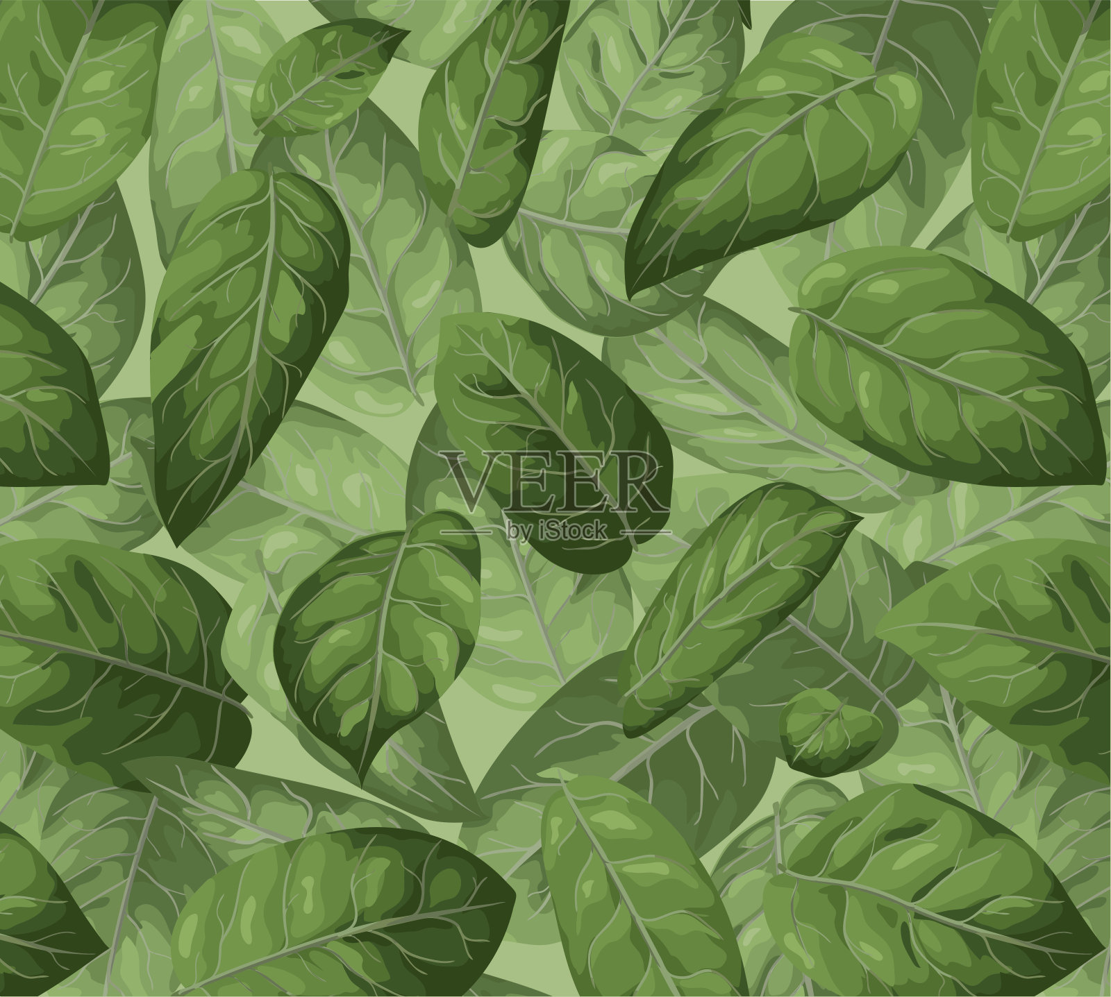 矢量无缝模式背景。绿色植物插画水彩设计:柠檬叶，Salal(高卢草)插画图片素材