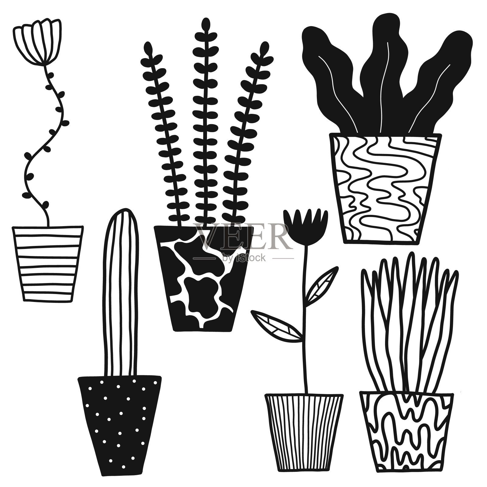 载体植物和仙人掌集插画图片素材