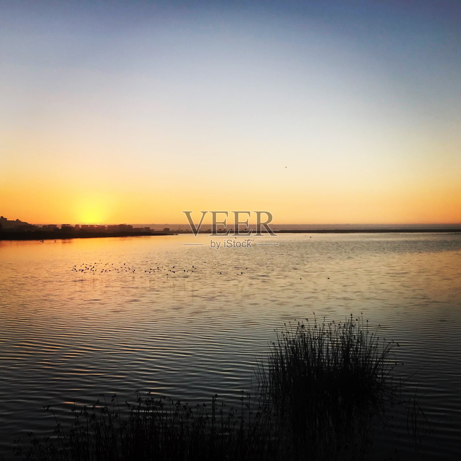 在Concón，智利的日落景观照片摄影图片