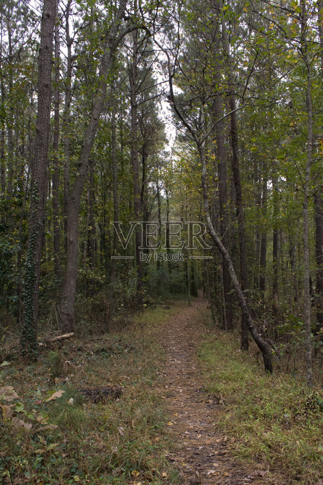 徒步旅行路线照片摄影图片