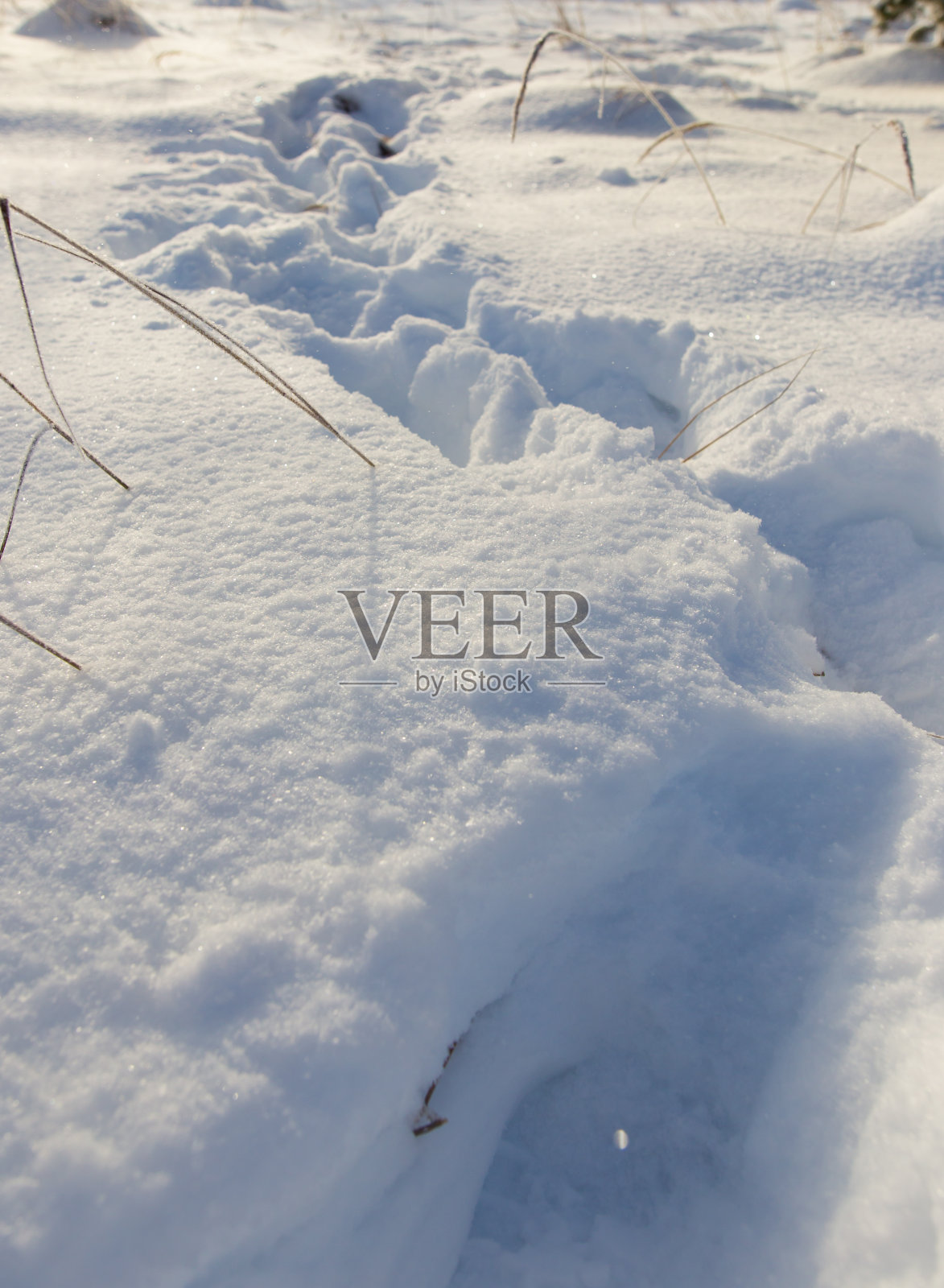 冬天雪地里一个男人的痕迹照片摄影图片