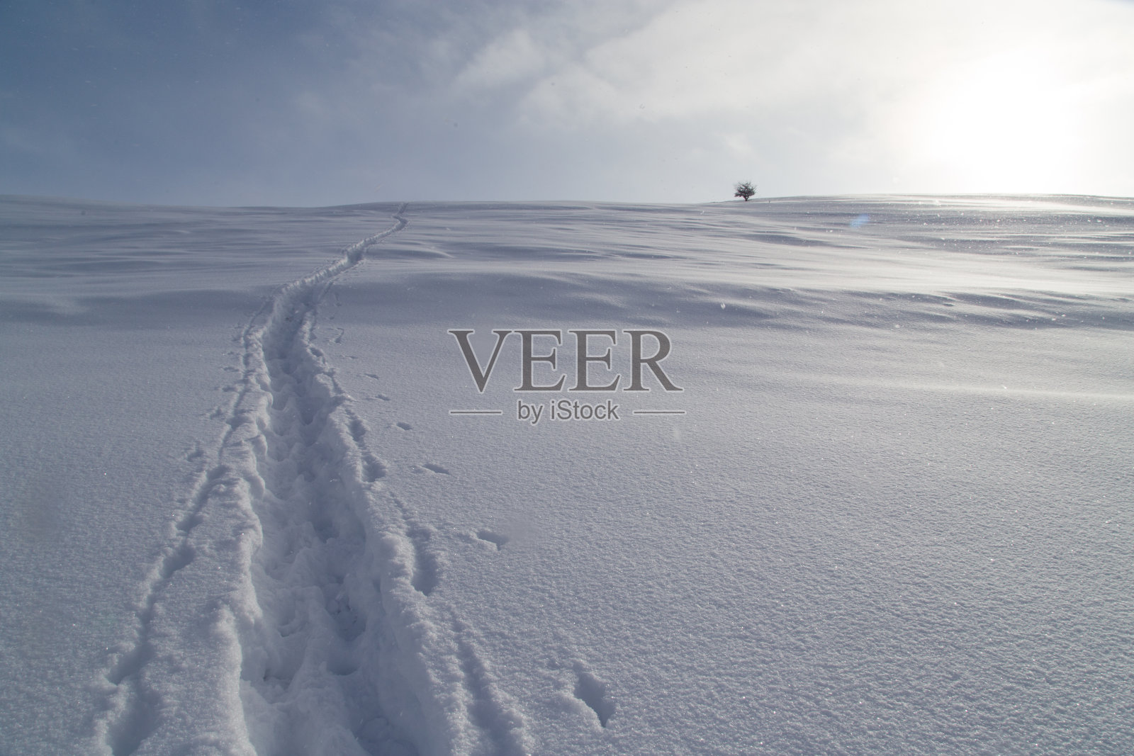 山中雪地上的小径照片摄影图片