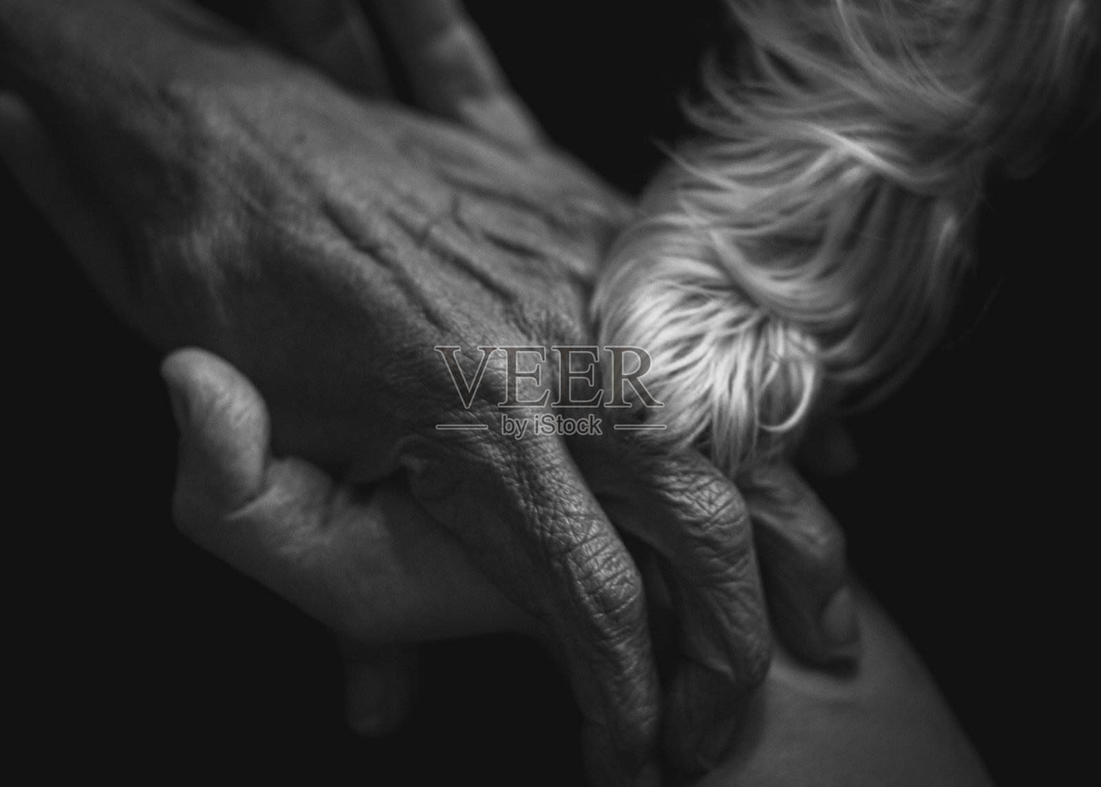 最后和父亲握手照片摄影图片