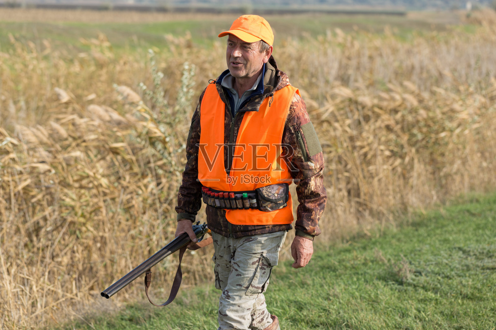 在多云的天气里，一名男子拿着枪和一件橙色背心在树林里狩猎野鸡。带着狗寻找猎物的猎人。照片摄影图片