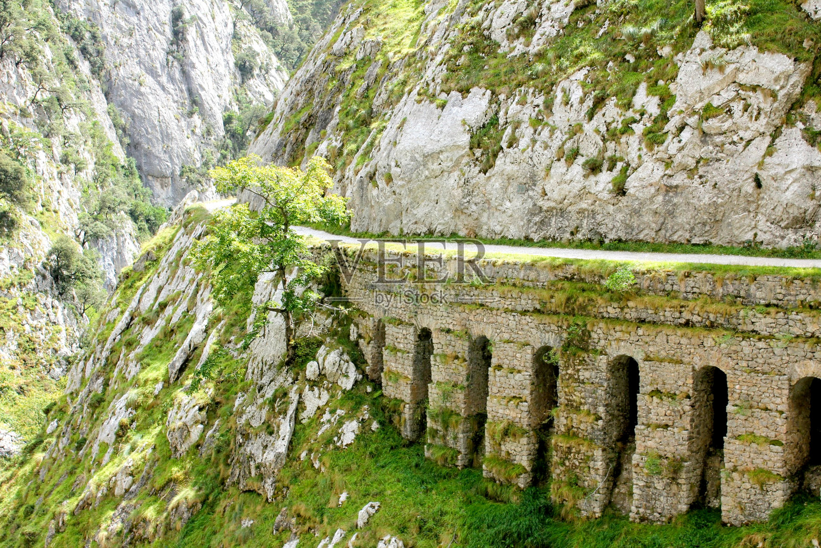 穿过峡谷照片摄影图片